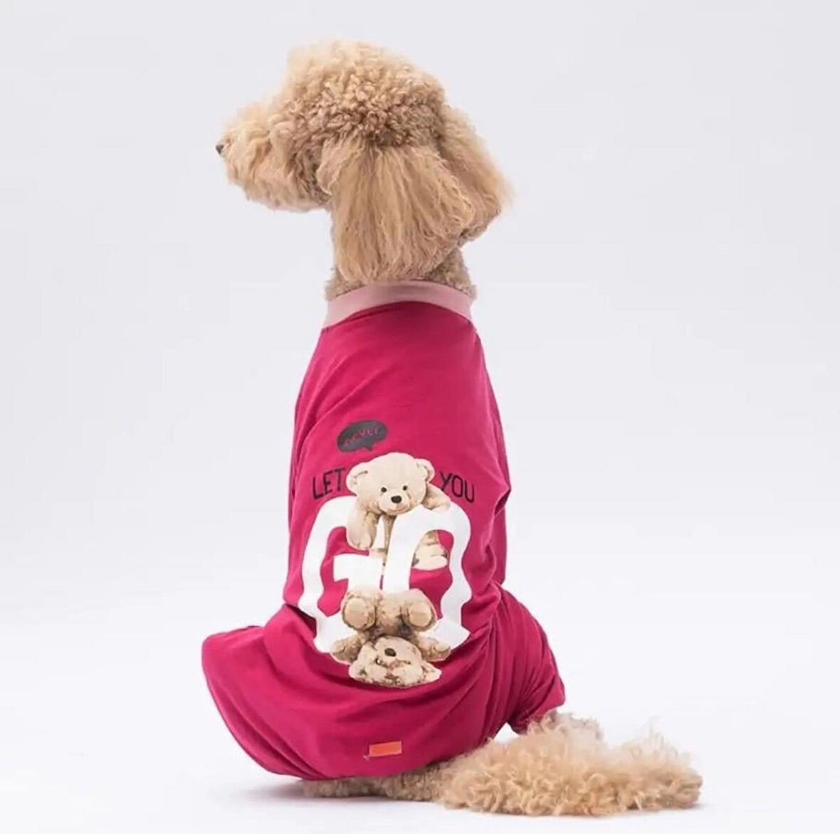 Pawstar Go Teddy Bear Orta-Büyük Irk Köpek Penye Tulum