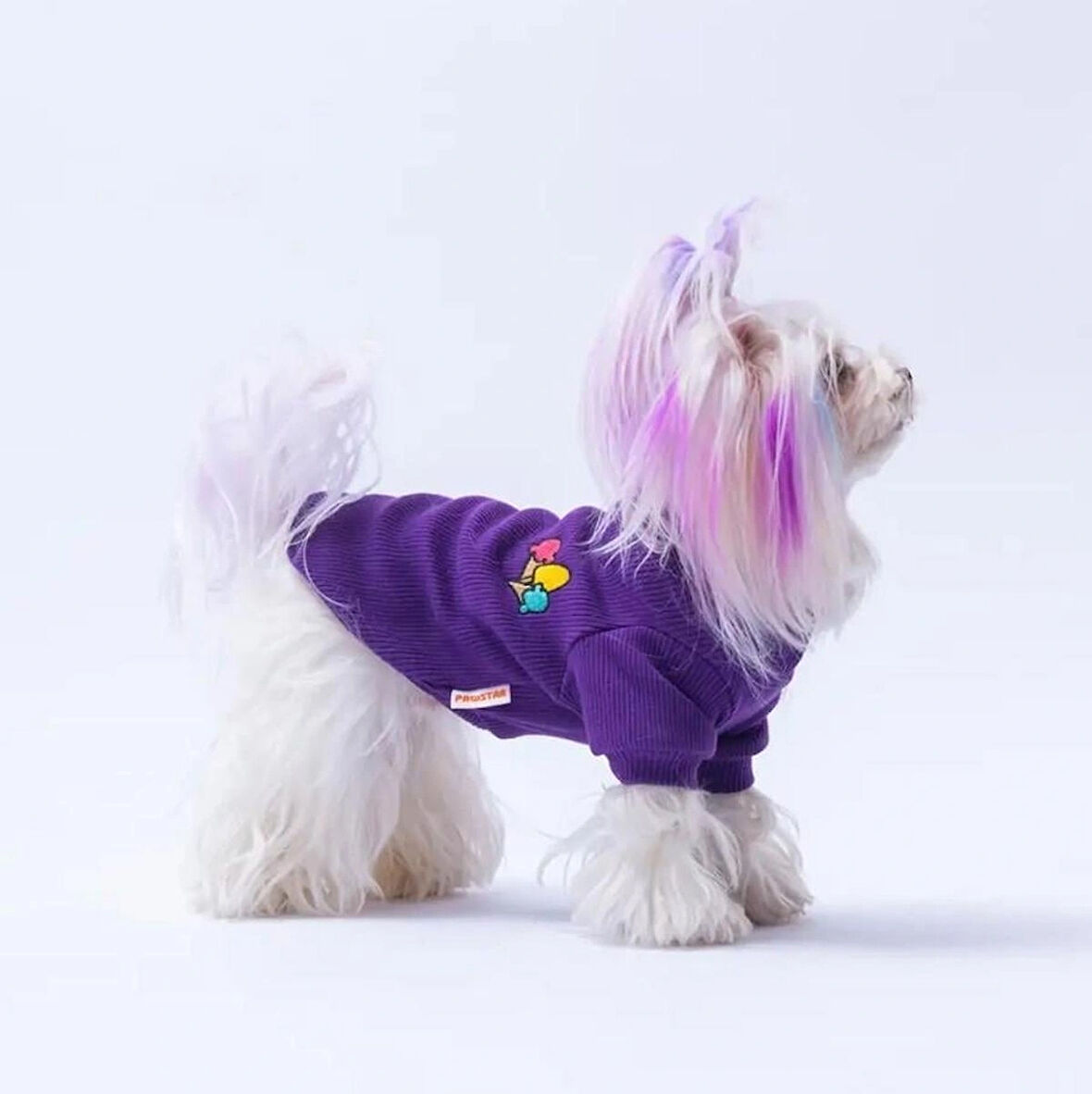 Pawstar Mor Ice Cream Nakışlı Esnek Küçük Irk Köpek Likralı Triko