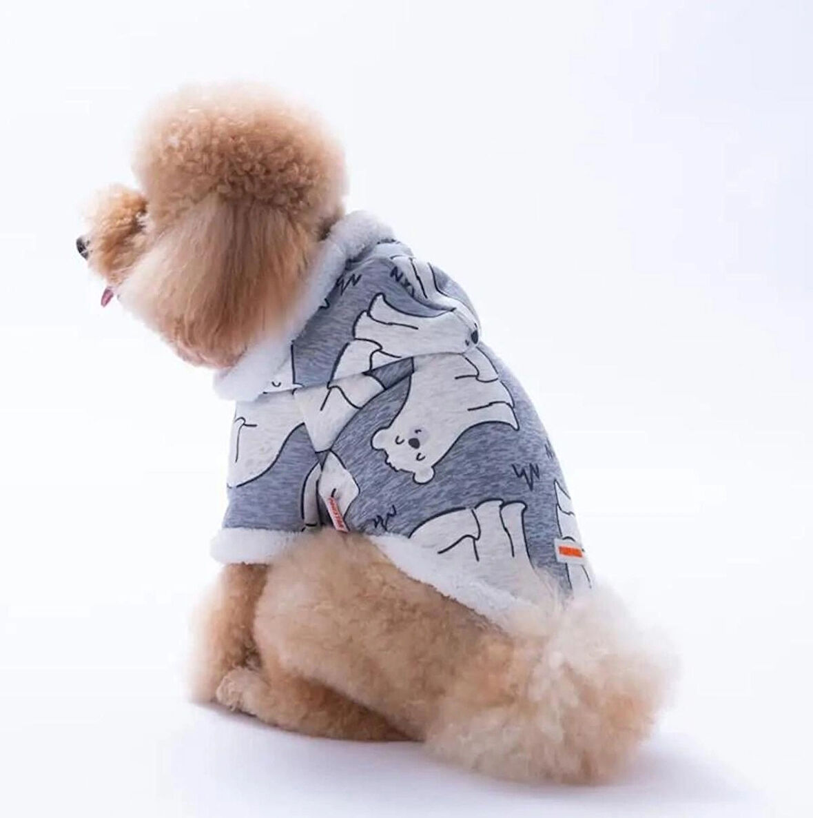 Pawstar Barrow Frost Küçük Irk Köpek Ceketi