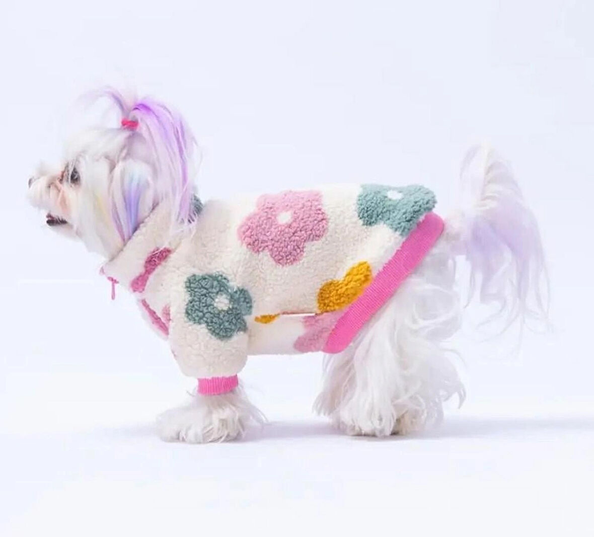 Pawstar Aspen Petals Küçük Irk Köpek Pofuduk Ceketi