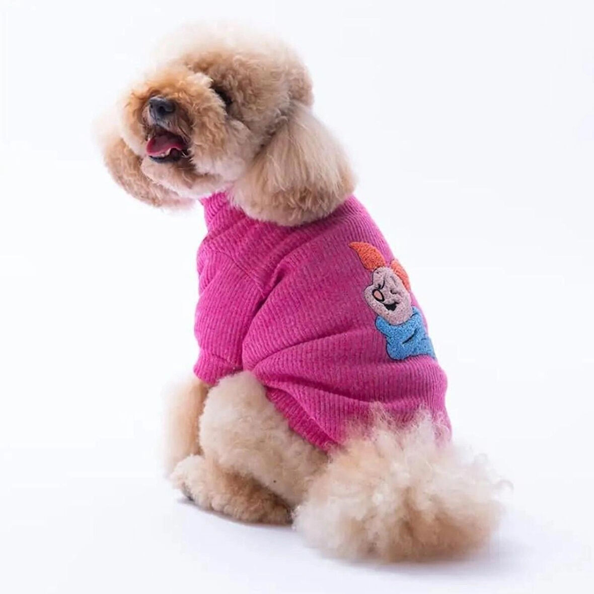 Pawstar Fuşya Pooh's Ashdown Piglet Küçük Irk Köpek Kazağı