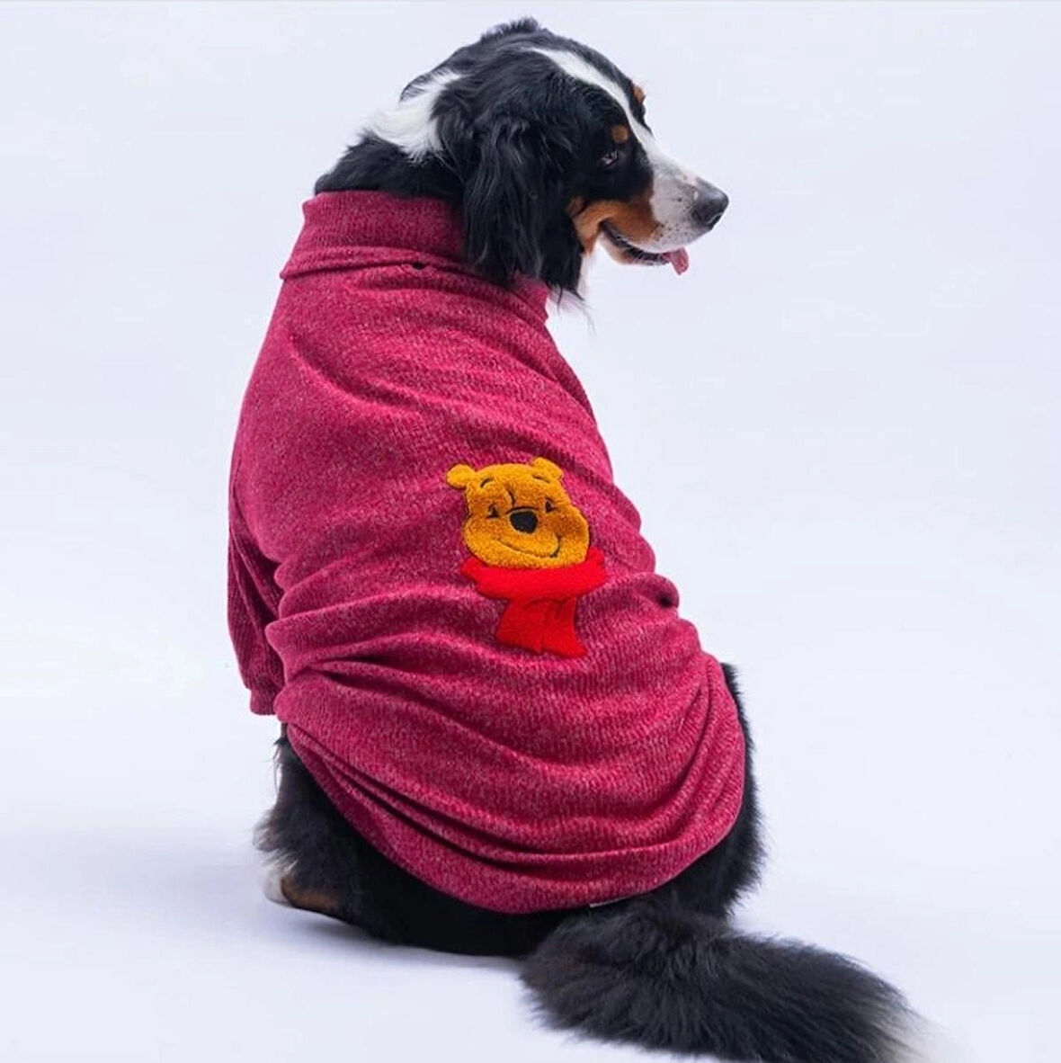Pawstar Bordo Pooh's Ashdown Winnie Orta ve Büyük Irk Köpek Kazağı