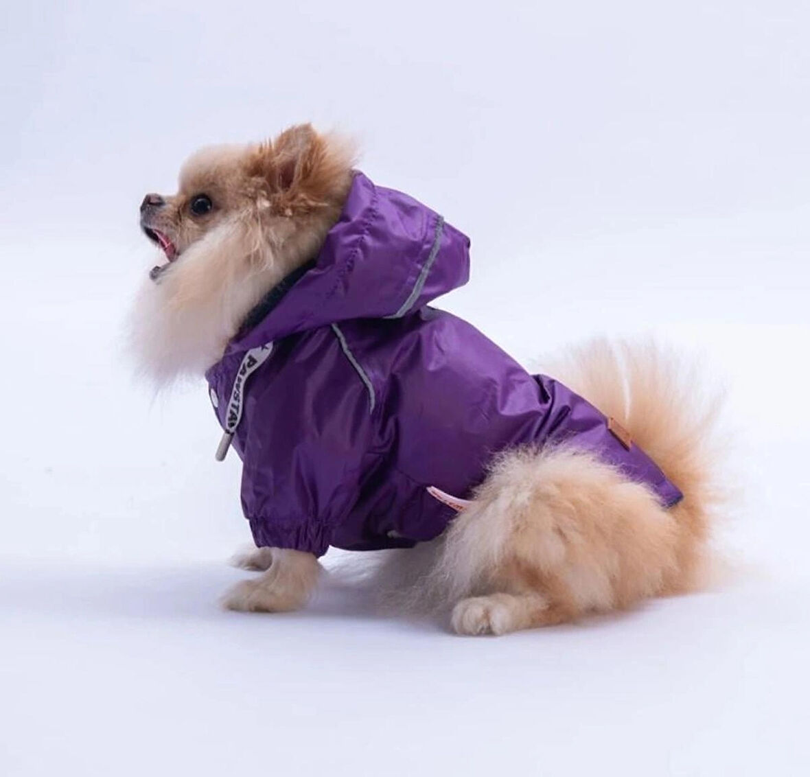 Pawstar Mor Pluvia v25 Polarlı Su Geçirmez Küçük Irk Köpek Yağmurluğu