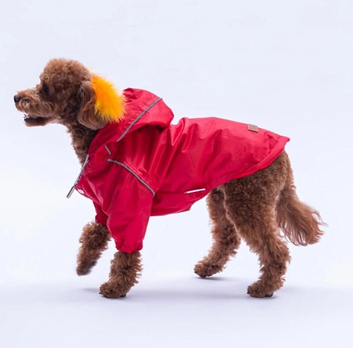 Pawstar Kırmızı Pluvia v25 Polarlı Su Geçirmez Küçük Irk Köpek Yağmurluğu