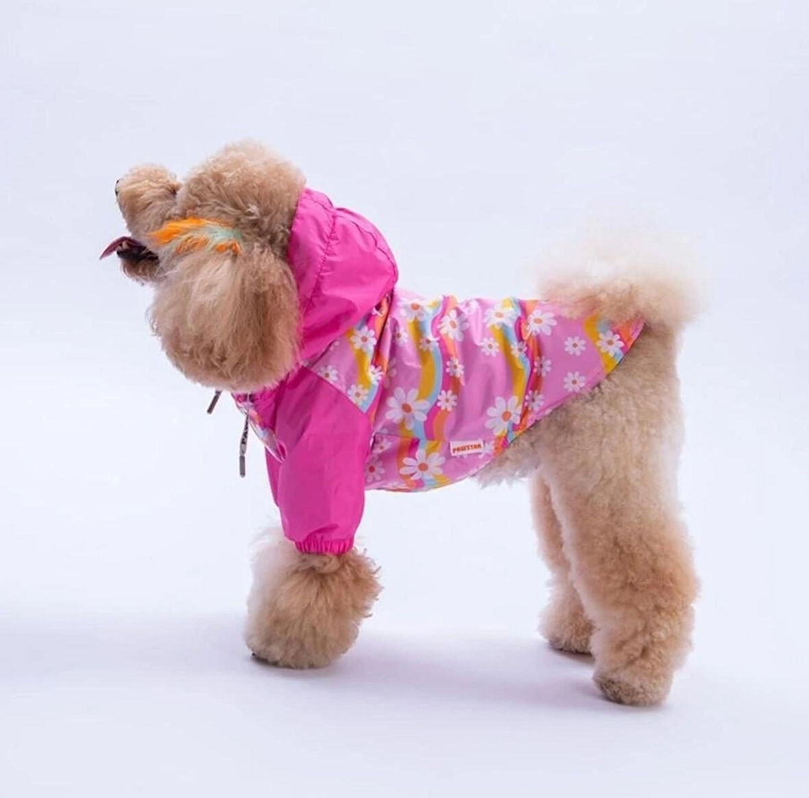 Pawstar Florence Daisy Polarlı Su Geçirmez Küçük Irk Köpek Yağmurluğu