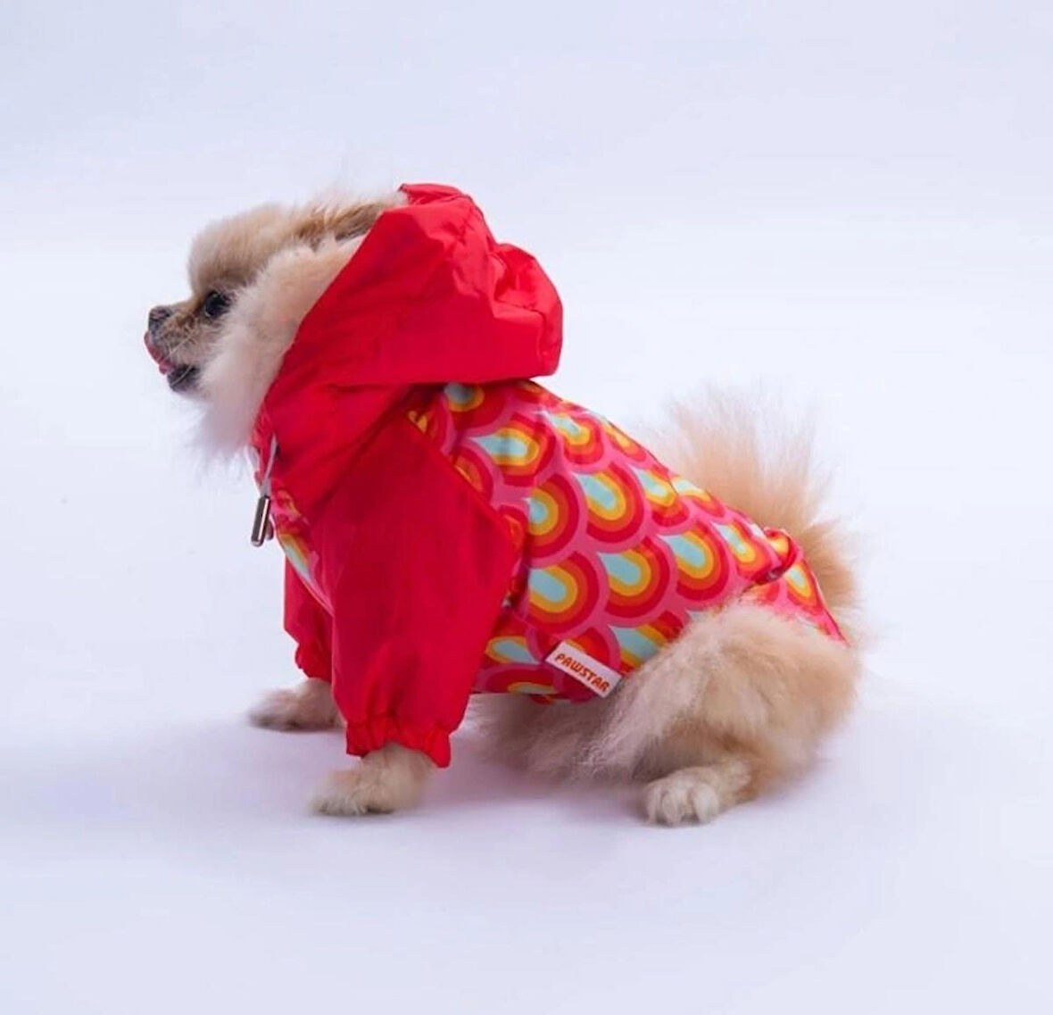 Pawstar Lisbon Sunset Polarlı Su Geçirmez Küçük Irk Köpek Yağmurluğu