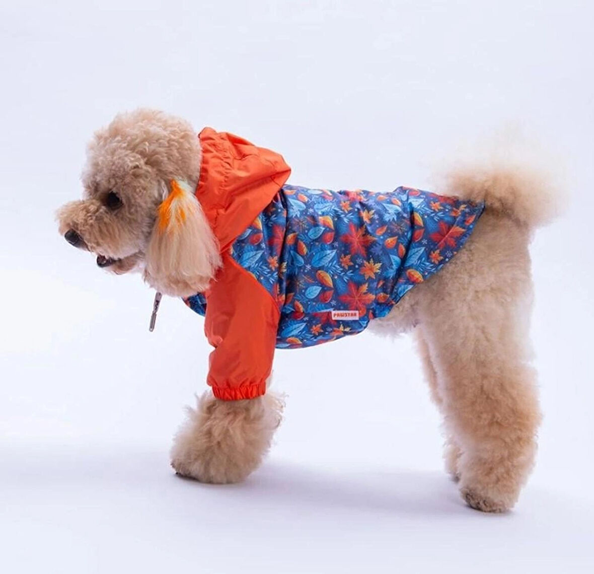 Pawstar Amsterdam Fall Polarlı Su Geçirmez Küçük Irk Köpek Yağmurluğu