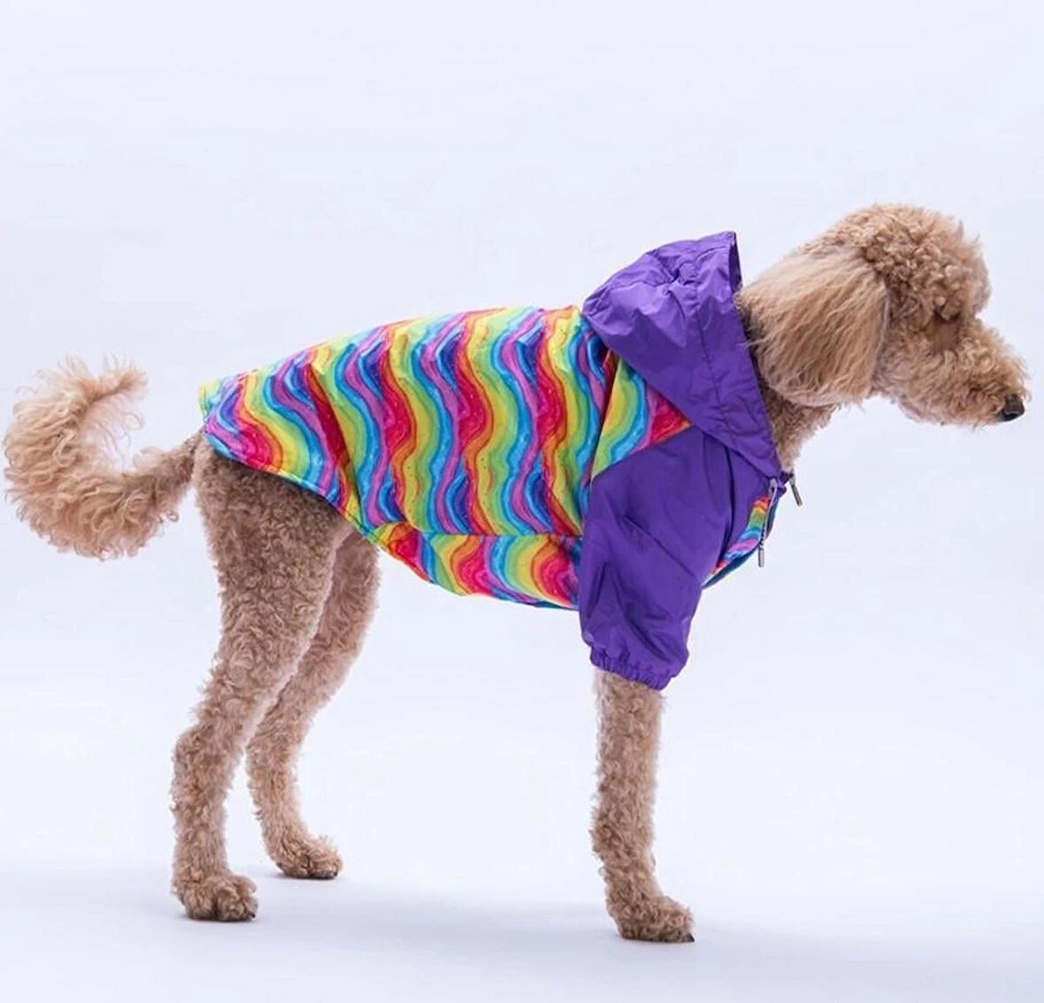 Pawstar Rio Rainbow Polarlı Su Geçirmez Orta-Büyük Irk Köpek Yağmurluğu