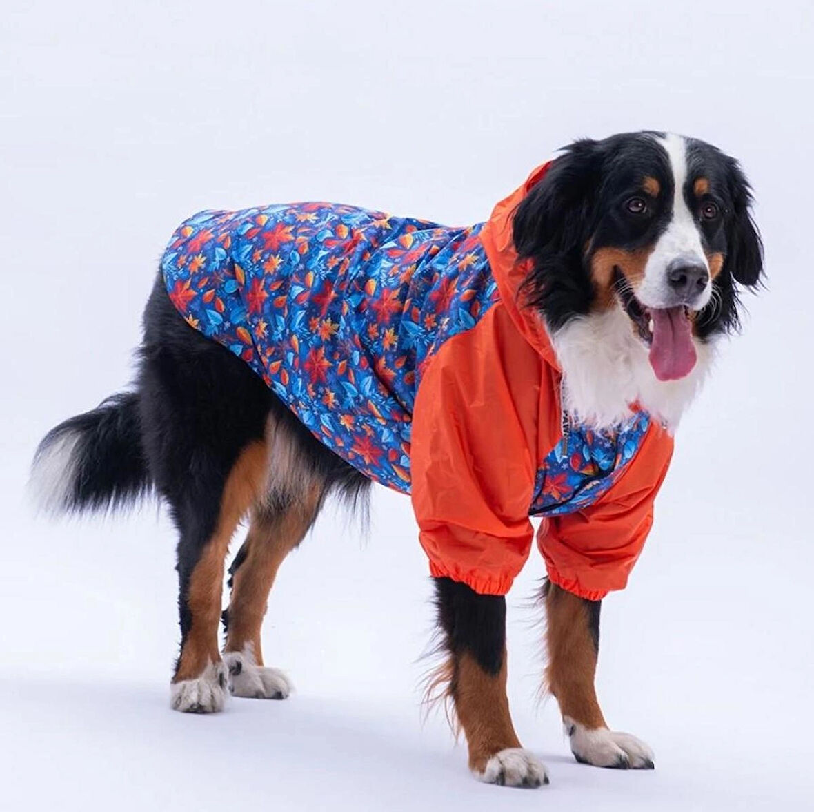 Pawstar Amsterdam Fall Polarlı Su Geçirmez Orta-Büyük Irk Köpek Yağmurluğu