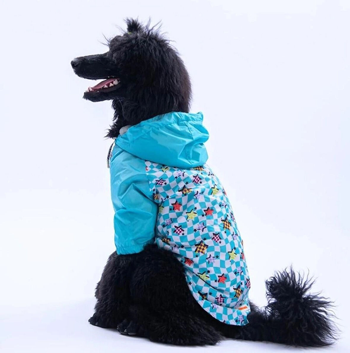 Pawstar Barcelona Nights Polarlı Su Geçirmez Orta-Büyük Irk Köpek Yağmurluğu