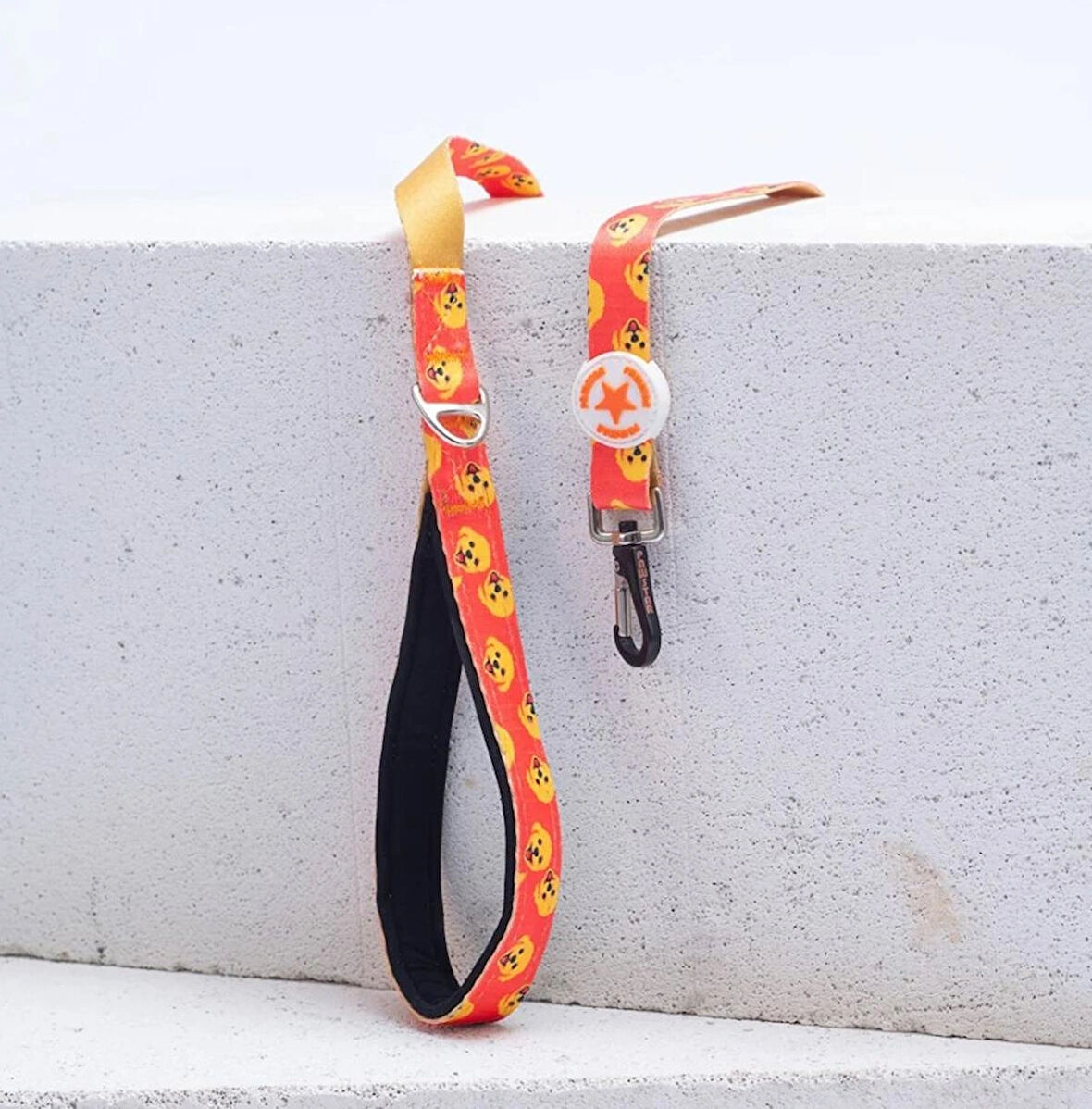 Pawstar Poodle Köpek Gezdirme Kayışı 120 cm x 2 cm