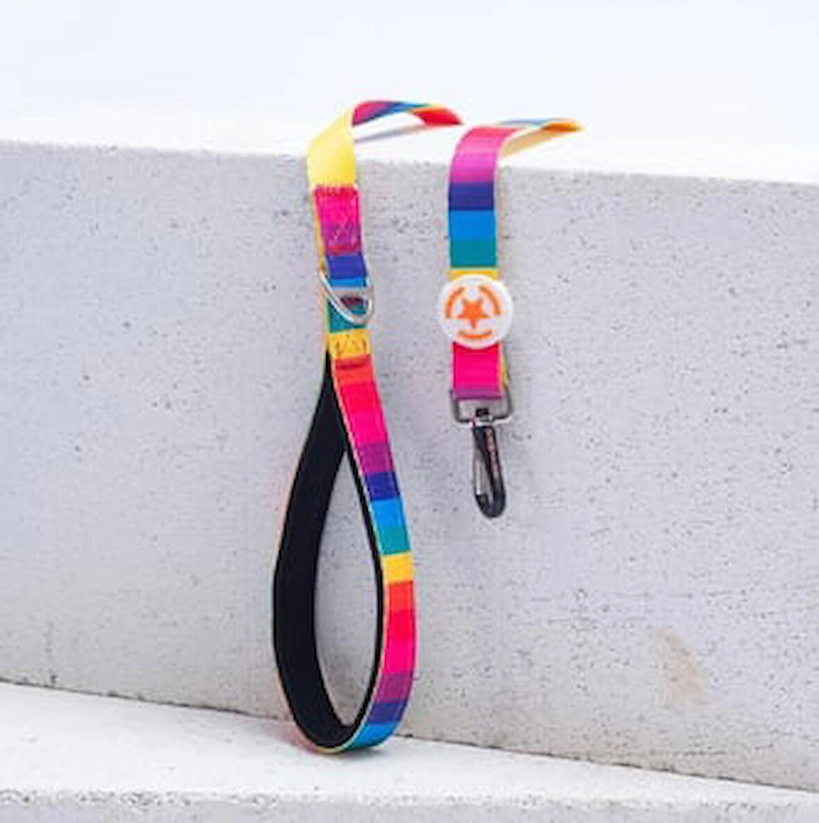 Pawstar Rainbow Köpek Gezdirme Kayışı 120 cm x 2 cm