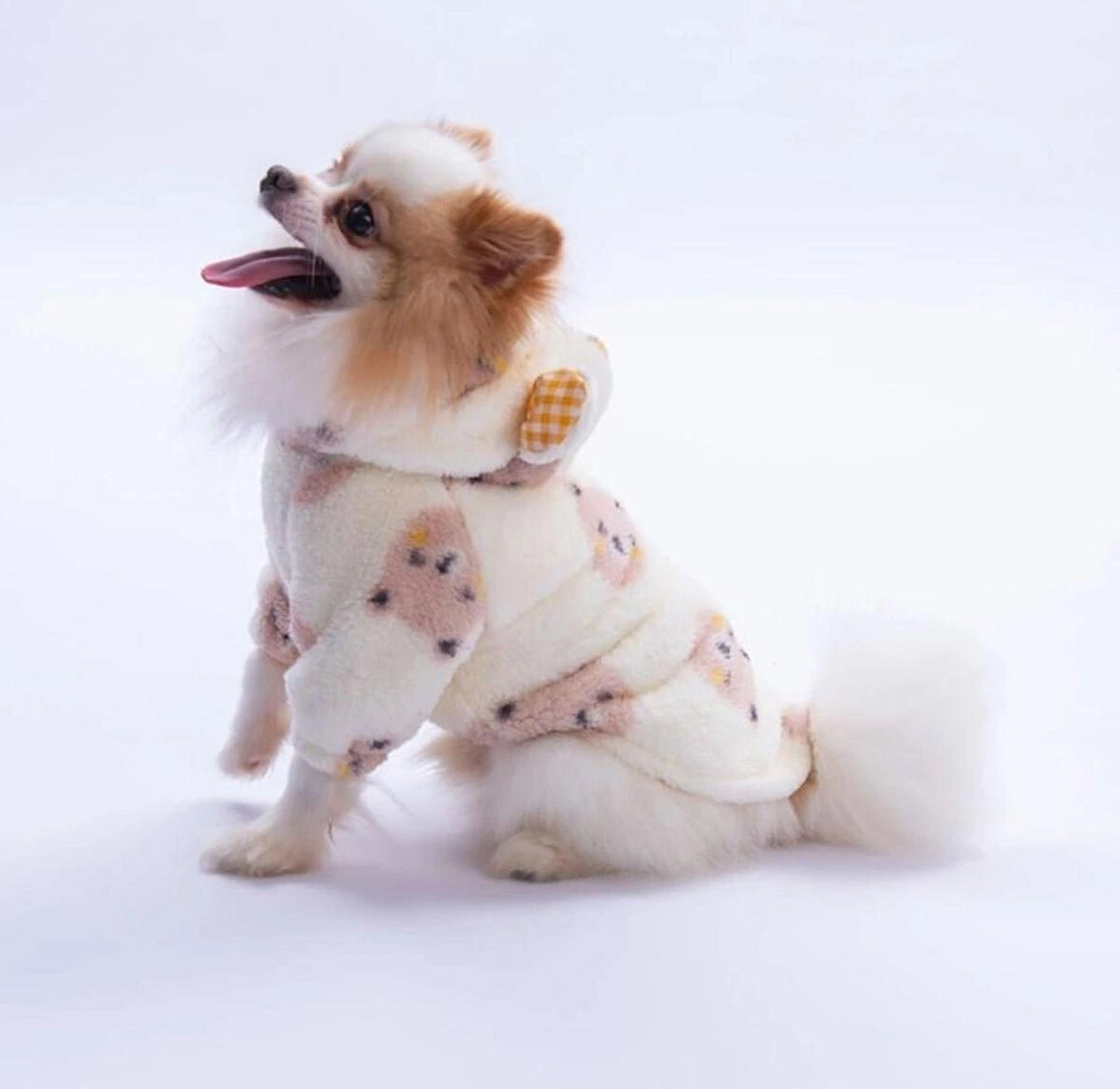 Pawstar Kahverengi Sapporo Bear Küçük Irk Köpek Pofuduk Hoodie Sweatshirt