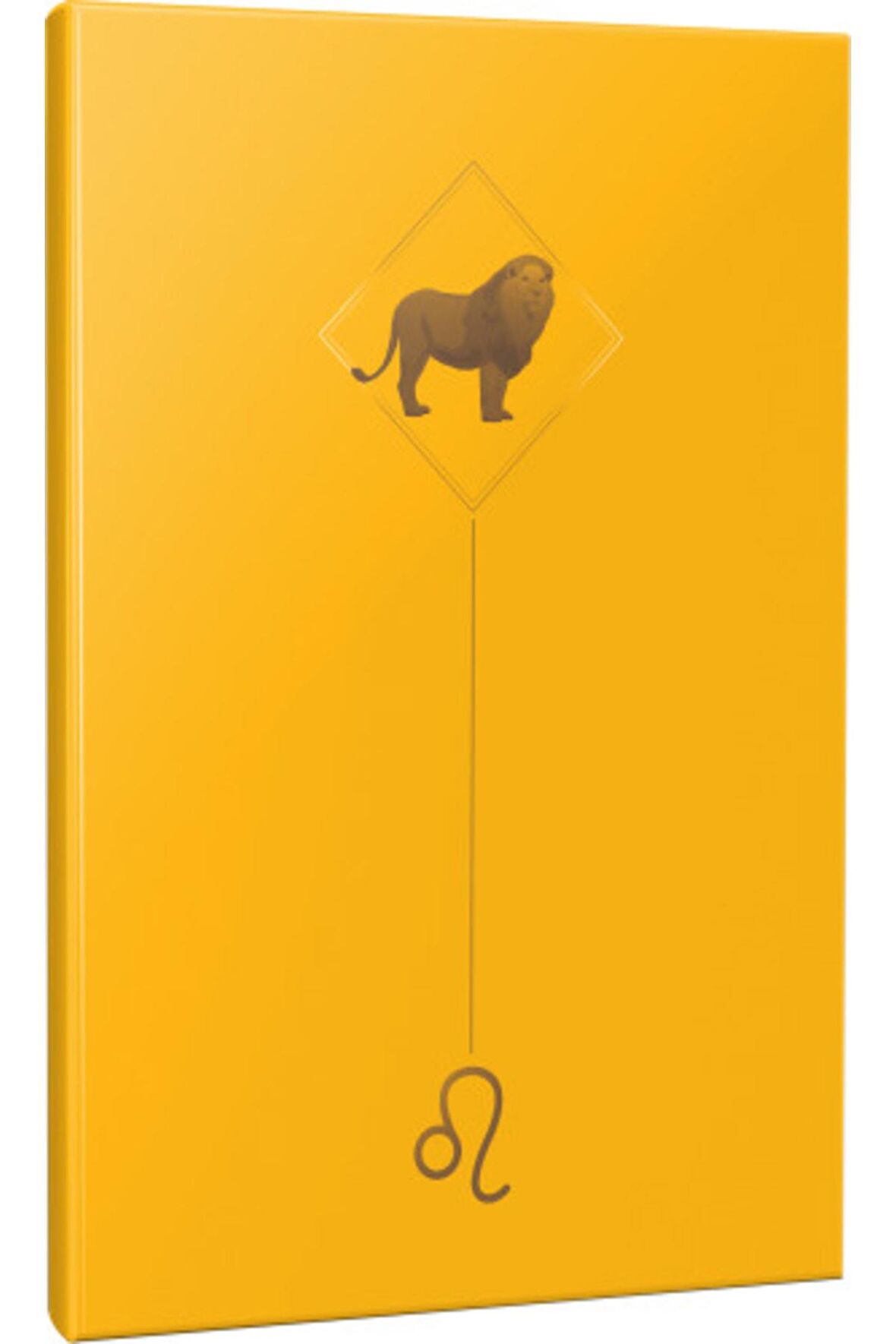 Aslan - Astroloji Temalı 64 Sayfa Çizgisiz
defter