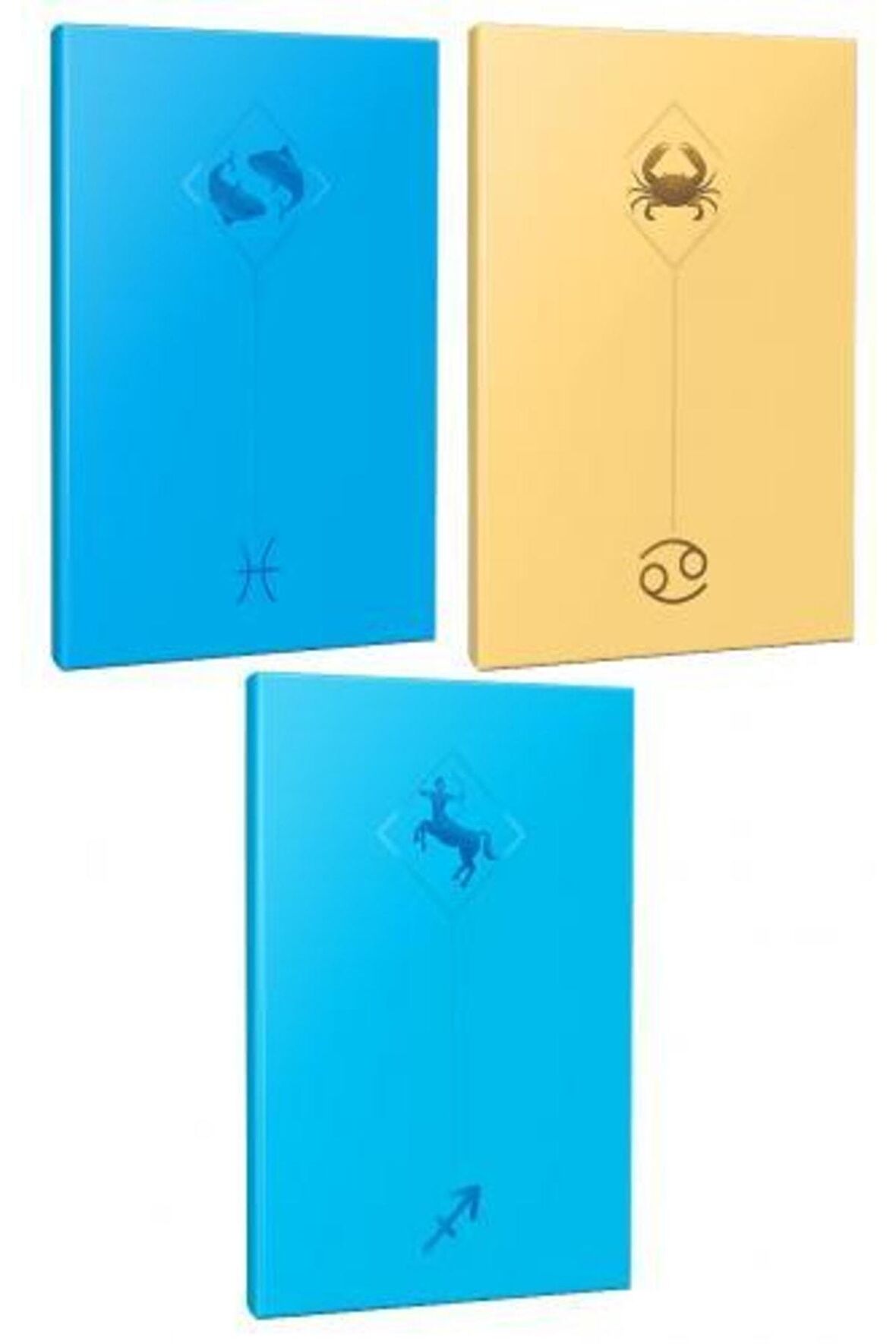 3lü Burç-astroloji Temalı 13,5x19,5cm 64 Sayfa
çizgisiz Defter Seti -8
