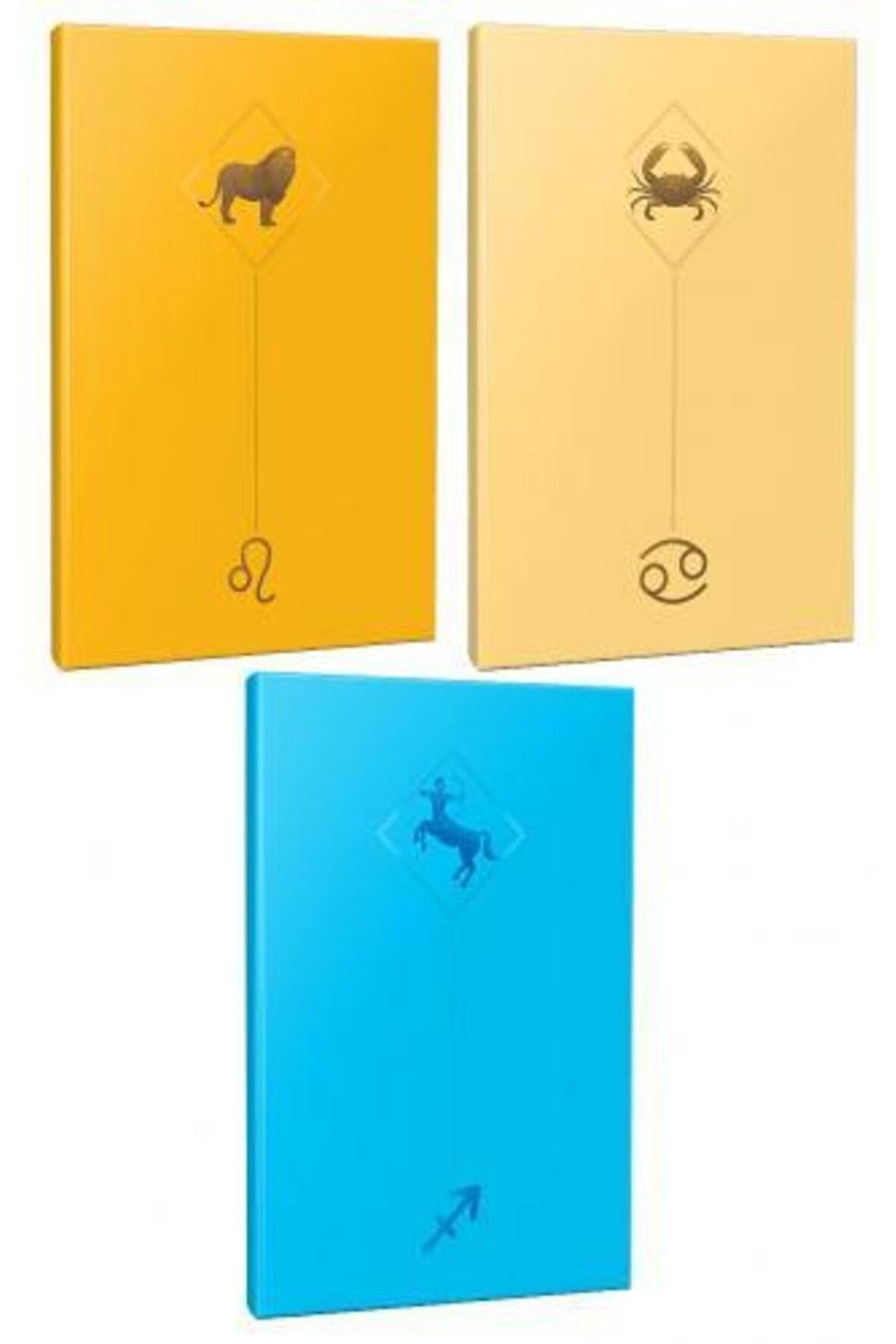 3lü Burç-astroloji Temalı 13,5x19,5cm 64 Sayfa
çizgisiz Defter Seti -9