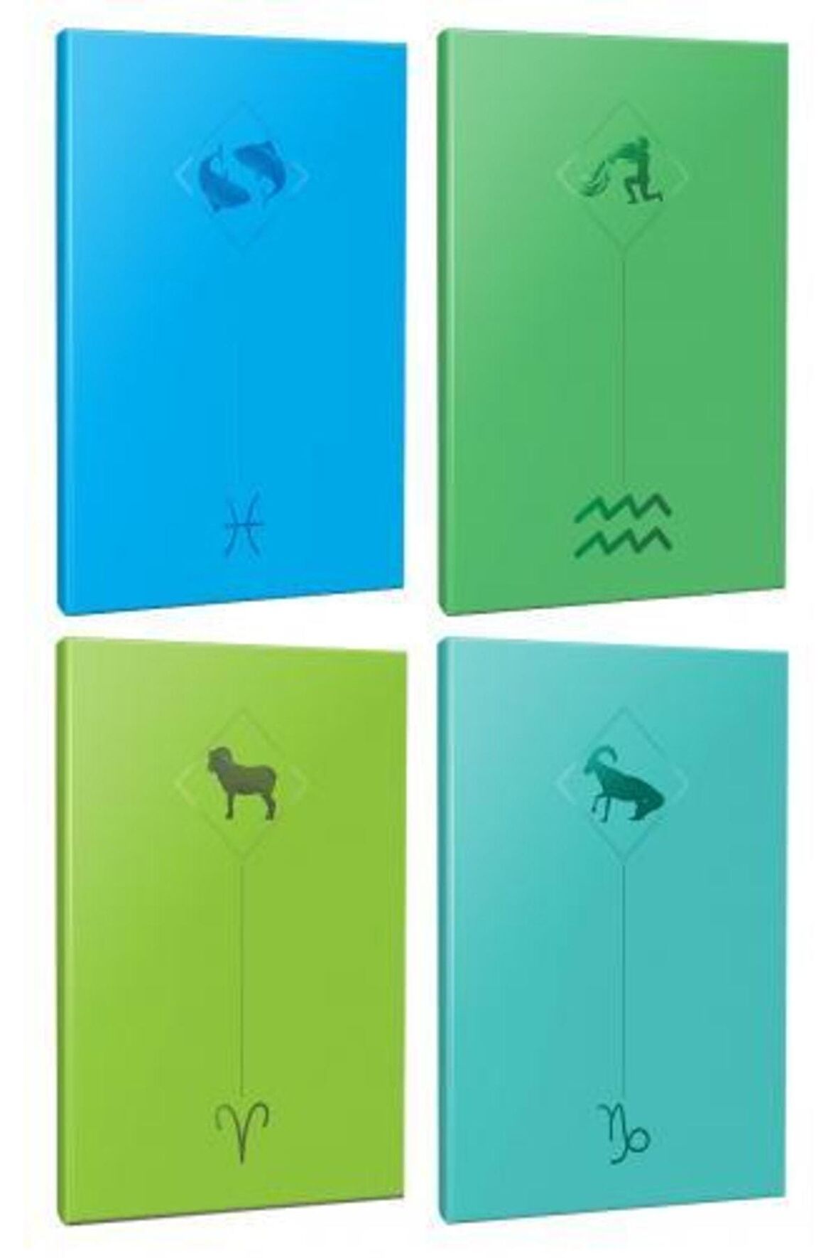 4lü Burç-astroloji Temalı 13,5x19,5cm 64 Sayfa
çizgisiz Defter Seti -7