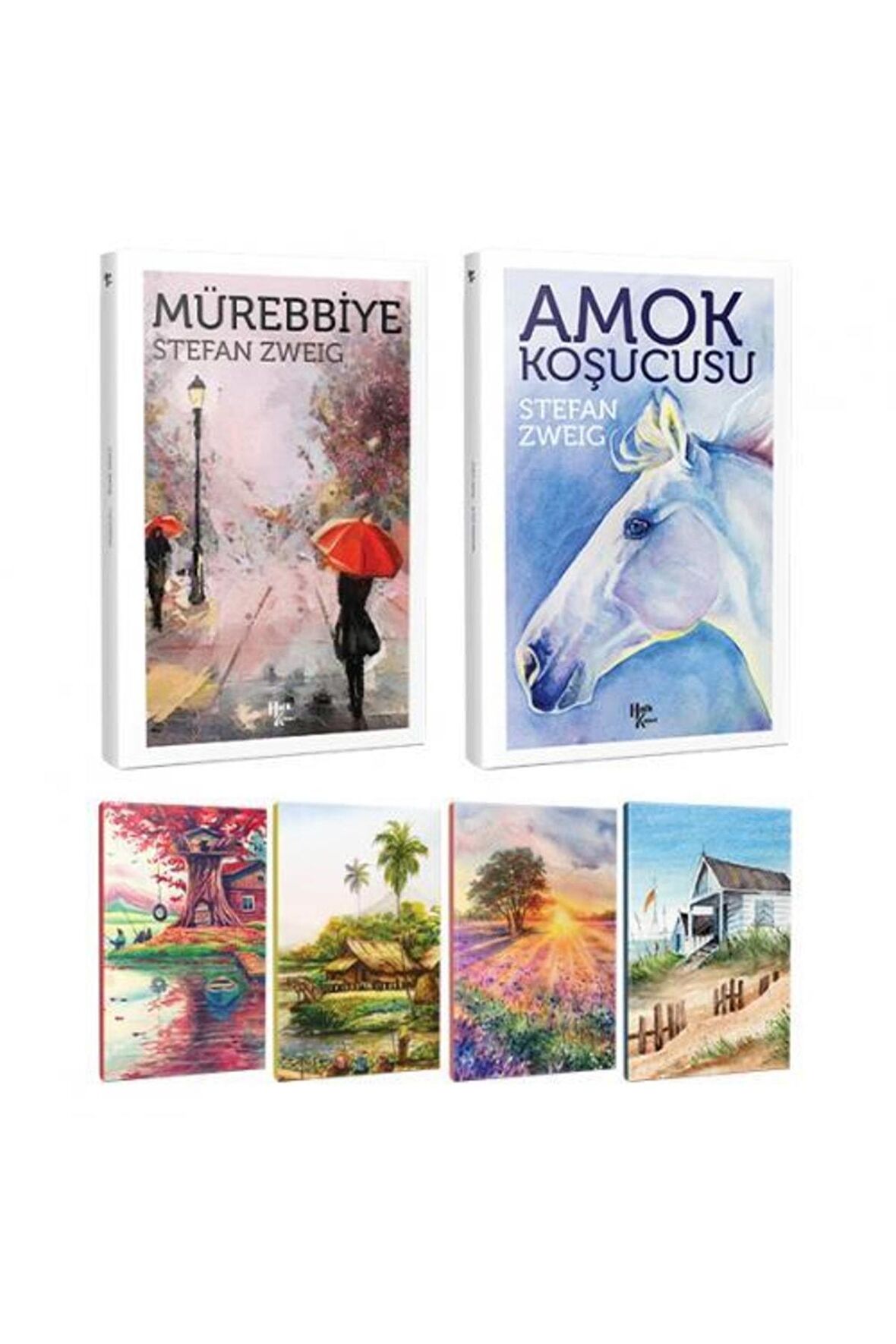 Stefan Zweig 2 Kitap Bir Arada Ve 4 Defter -6
