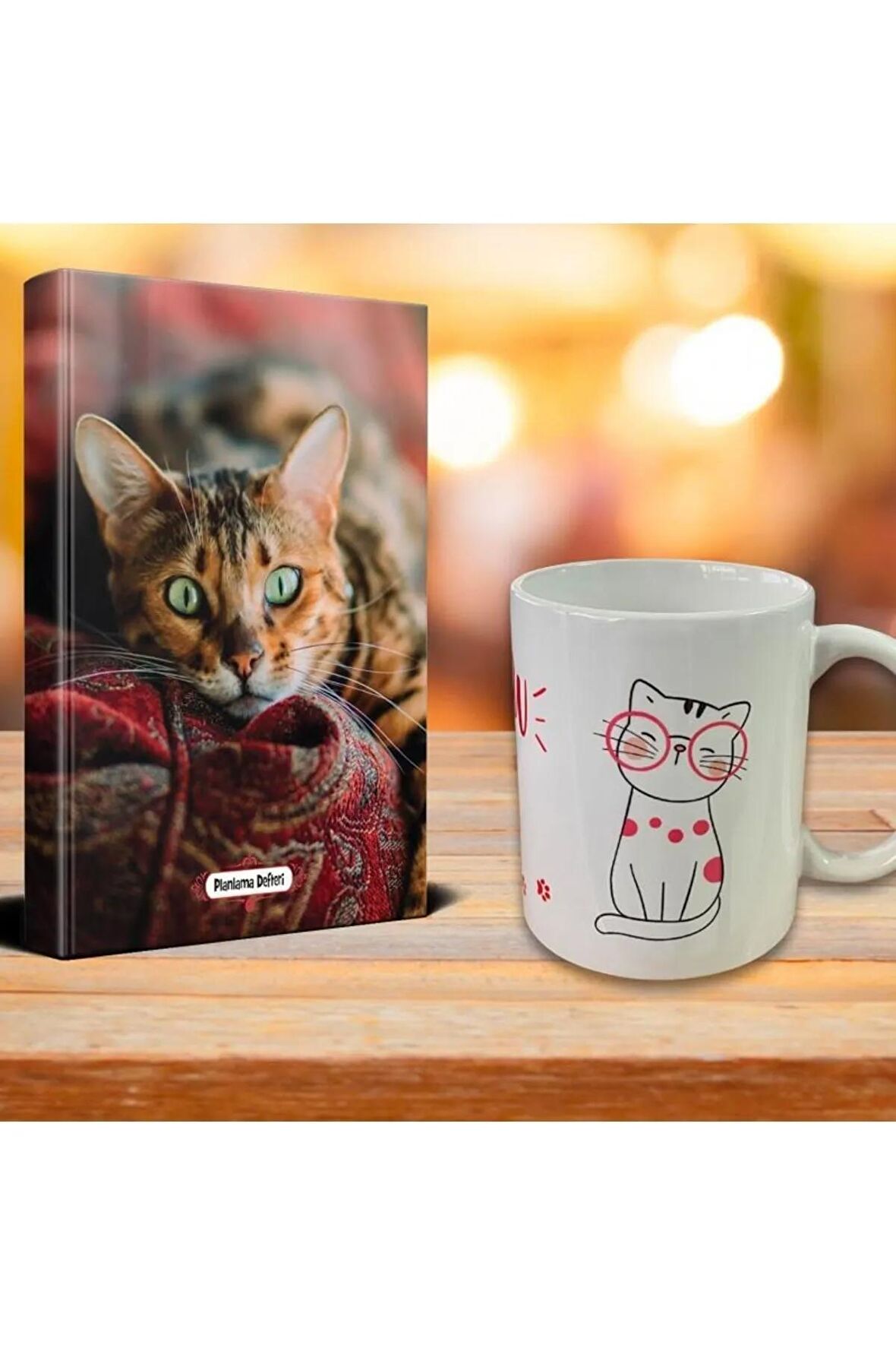 Saskin Kedi Ajanda Sevimli Kedi Kupa Seti