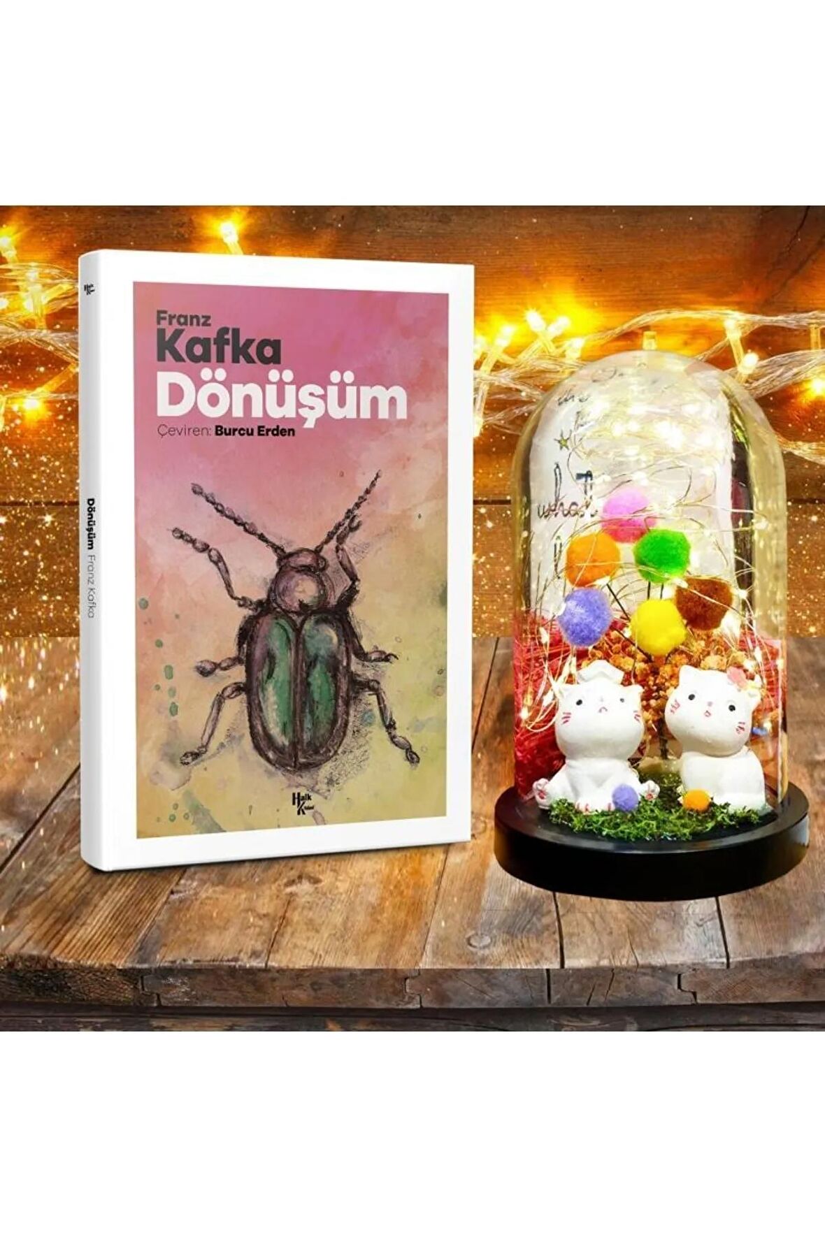 Dost Kediler Teraryum Hediye Seti - Dünya Klasiği Dönüşüm