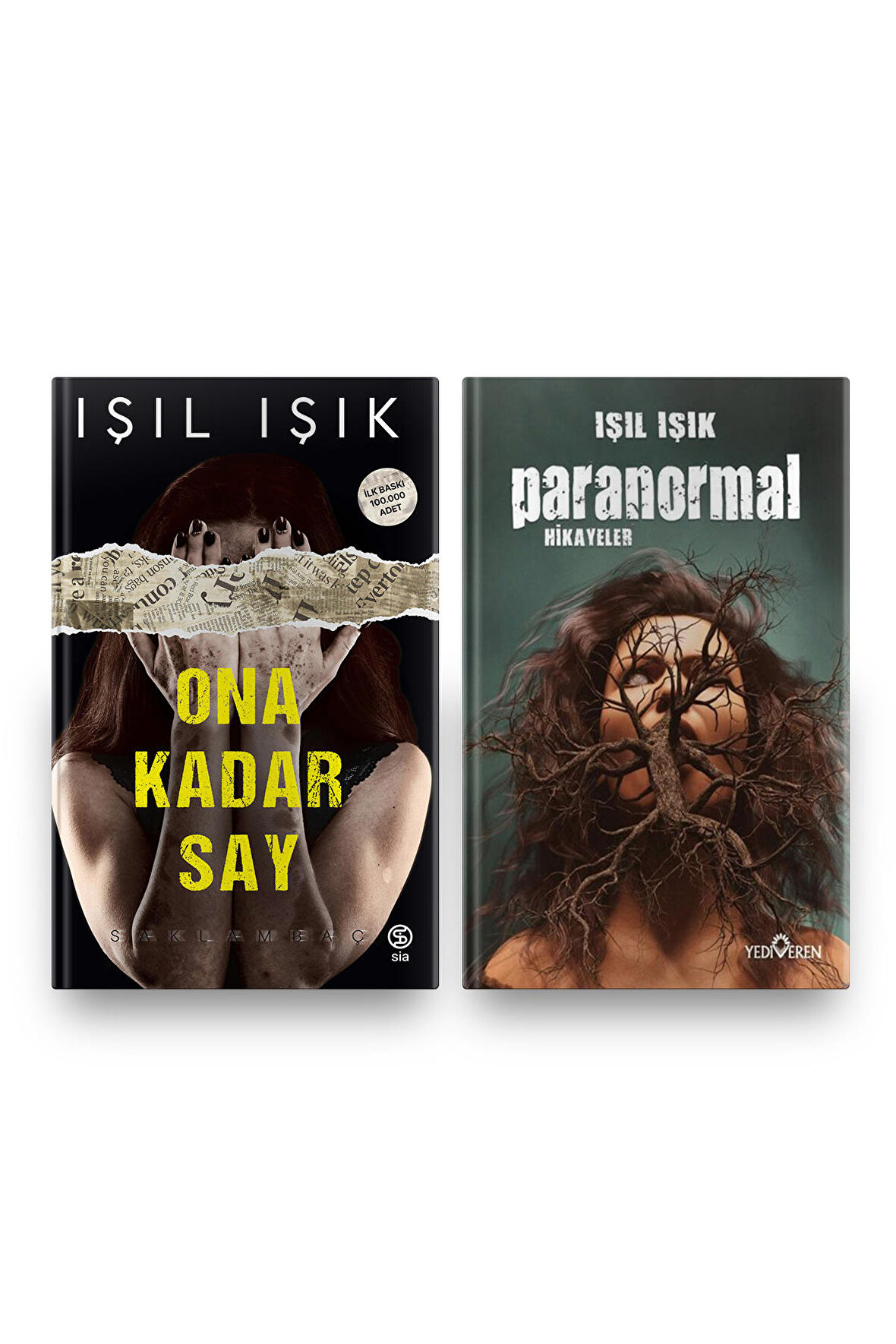 Paranormal Roman Serisi - Işıl Işık Ona Kadar Say - Paranormal Hikayeler