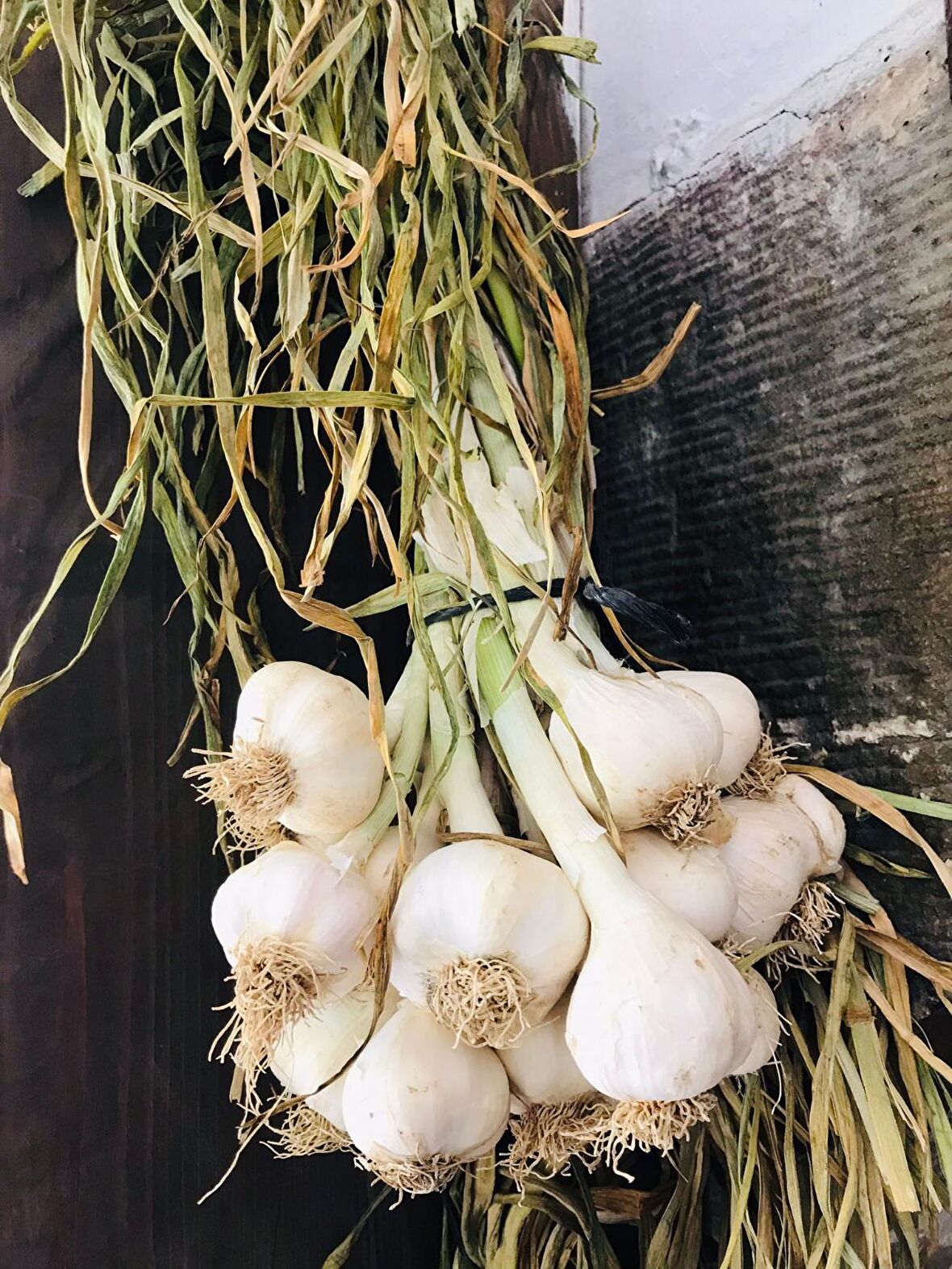 SARIMSAK