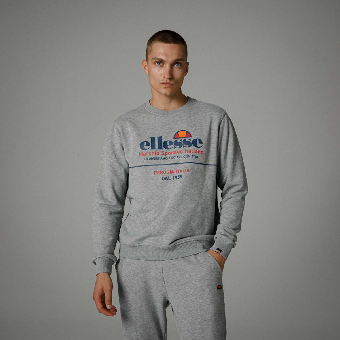 Ellesse Bisiklet Yaka Sweatshirt Gri Erkek EM273