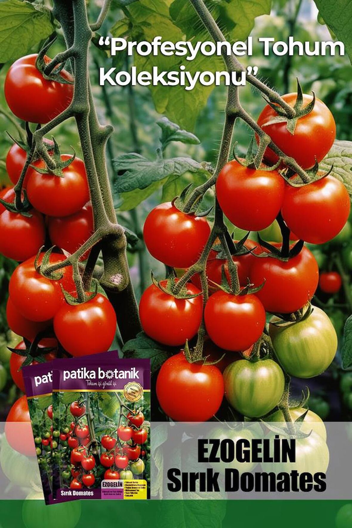 10 Adet Ezogelin Kiraz/Cherry Domates Tohumu-SIRIK