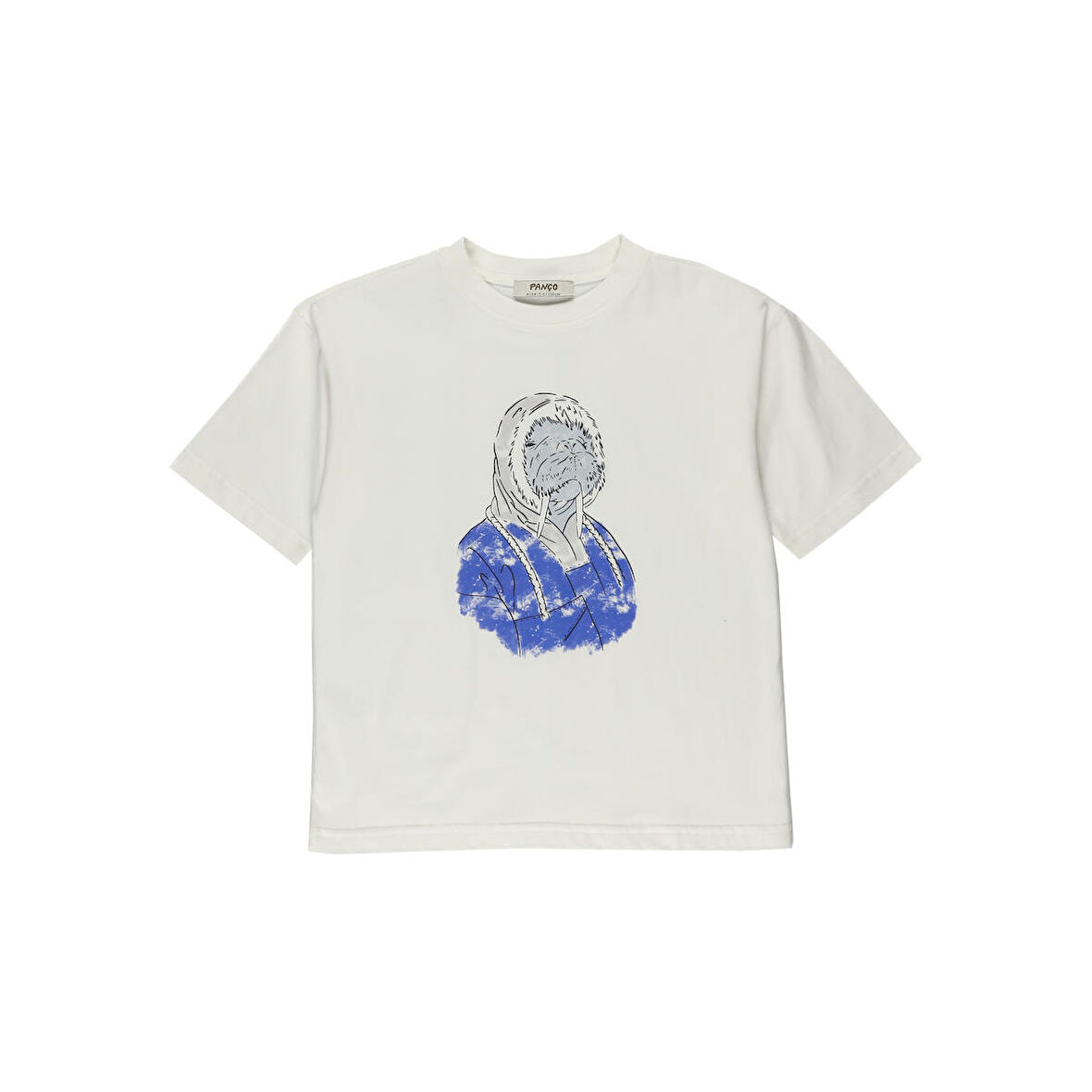 Panço Erkek Çocuk Baskı Detaylı Kısa Kollu T-Shirt Ekru