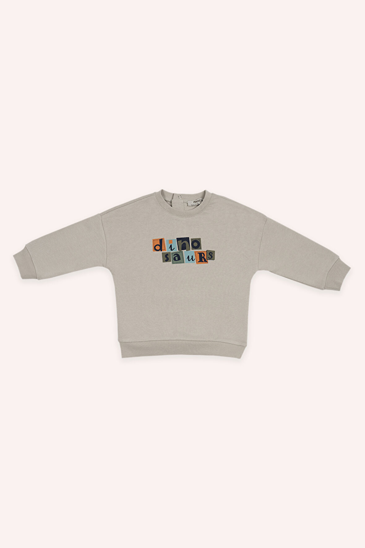 Erkek Çocuk Baskılı Sweatshirt Bej
