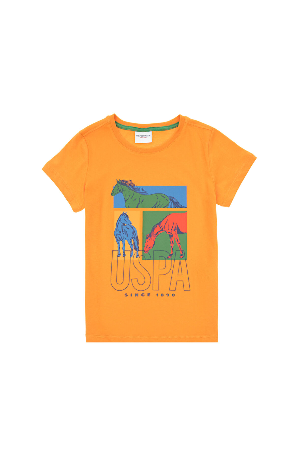 U.S. Polo Assn. Erkek Çocuk T-shirt 2104889