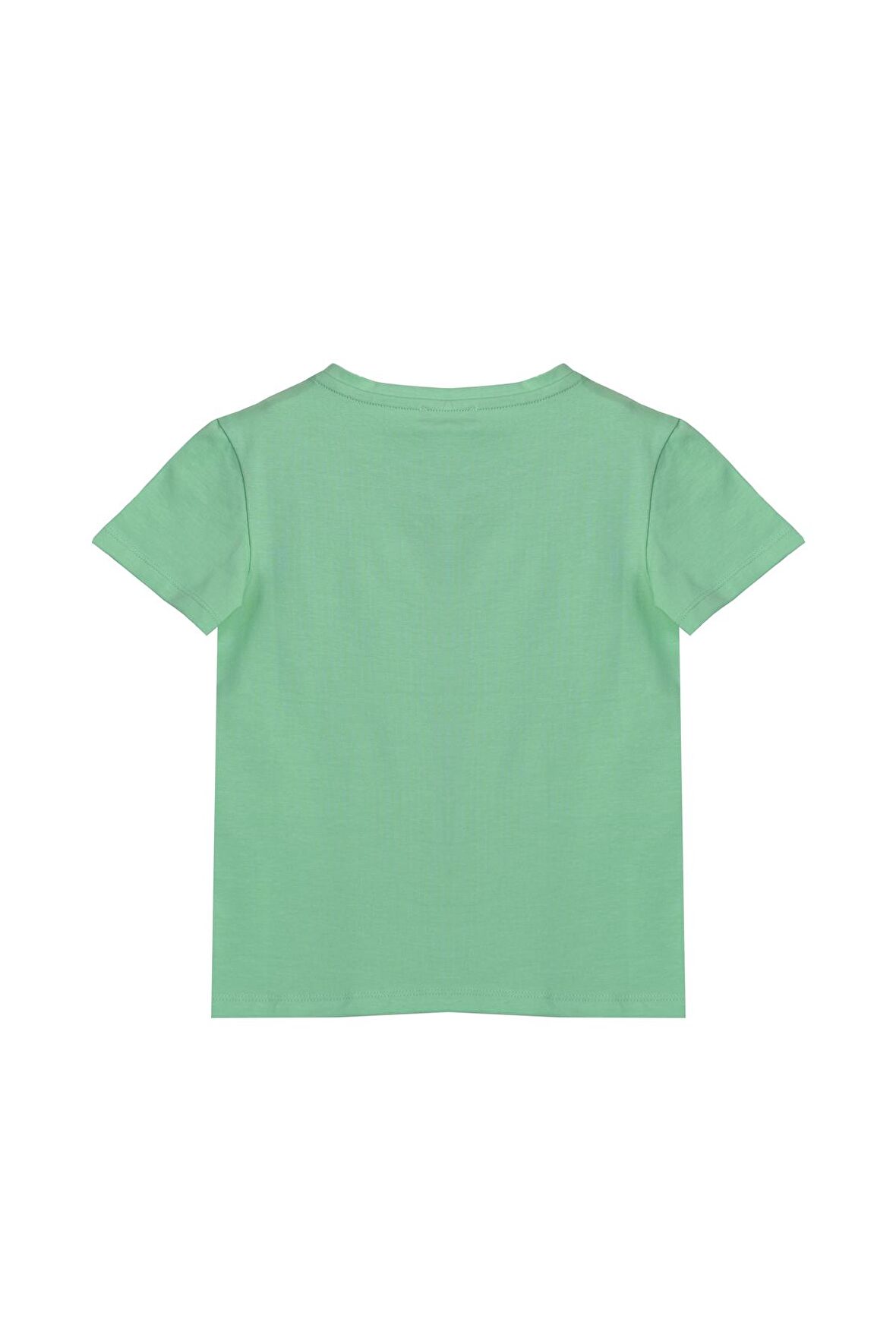 Kız Çocuk Tshirt BNT-G21242