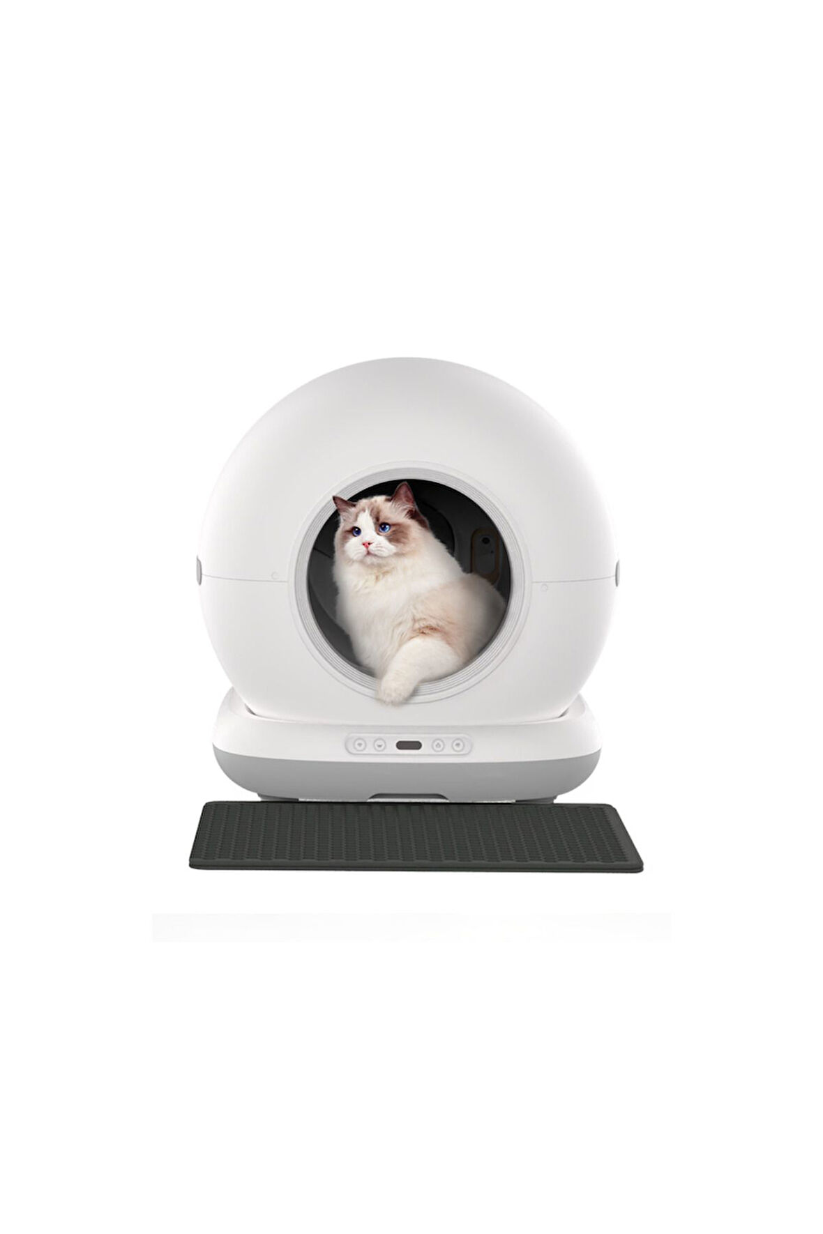 Akıllı Otomatik Kedi Tuvaleti