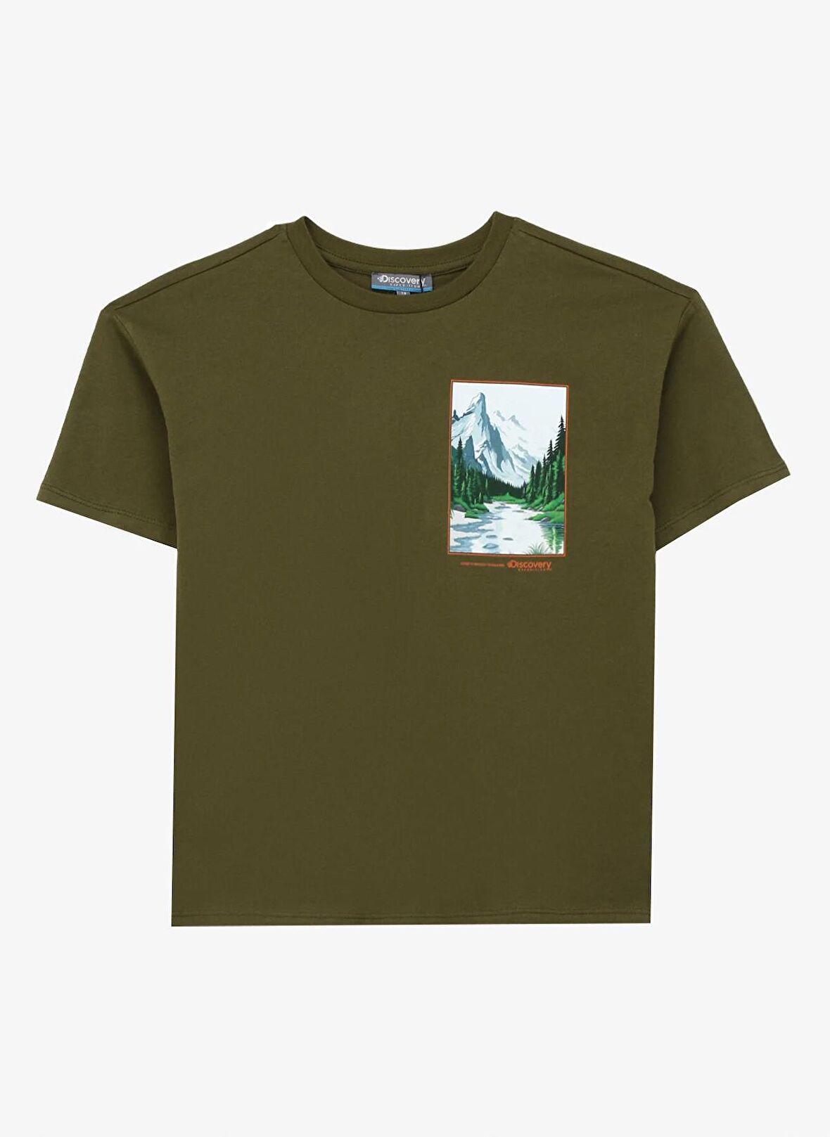 Baskılı Haki Erkek T-Shirt D4SB-TST3036