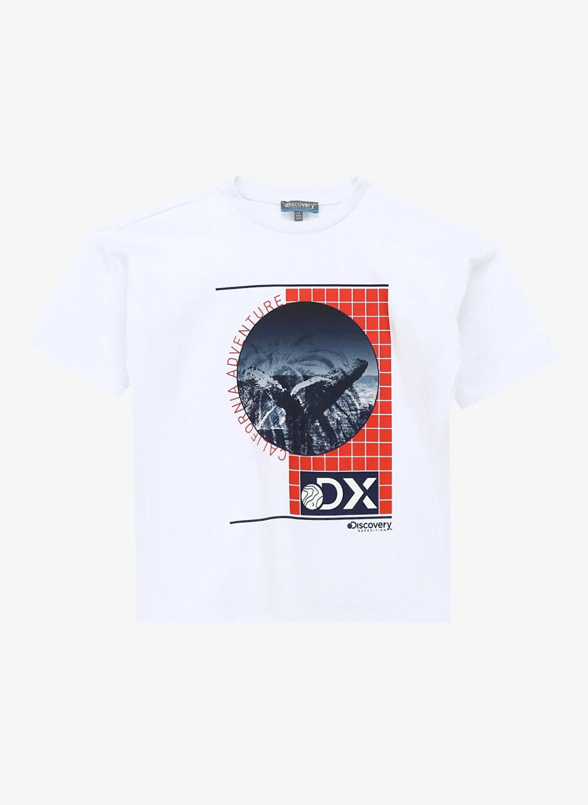 Baskılı Beyaz Erkek T-Shirt D4SB-TST3046