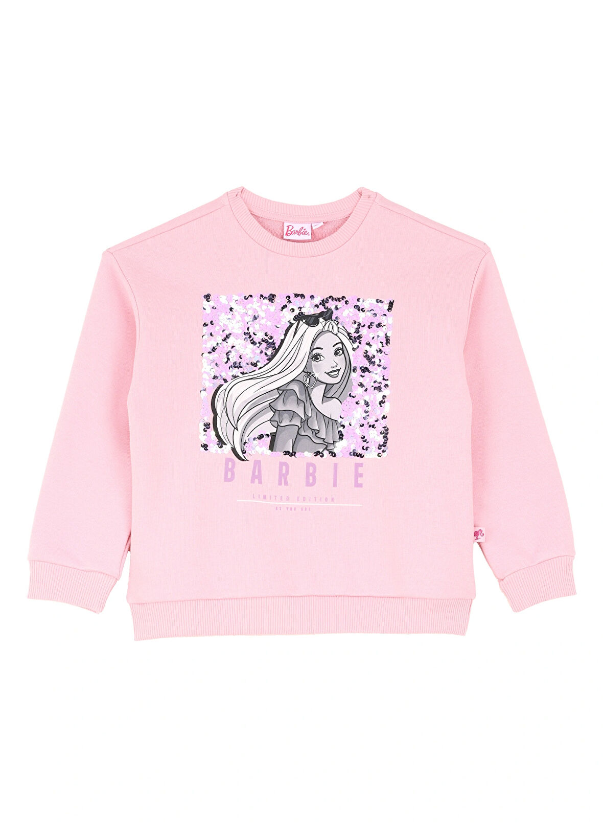 Barbie Baskılı Kadın Pembe Sweatshırt BRB4WG-SWT6013