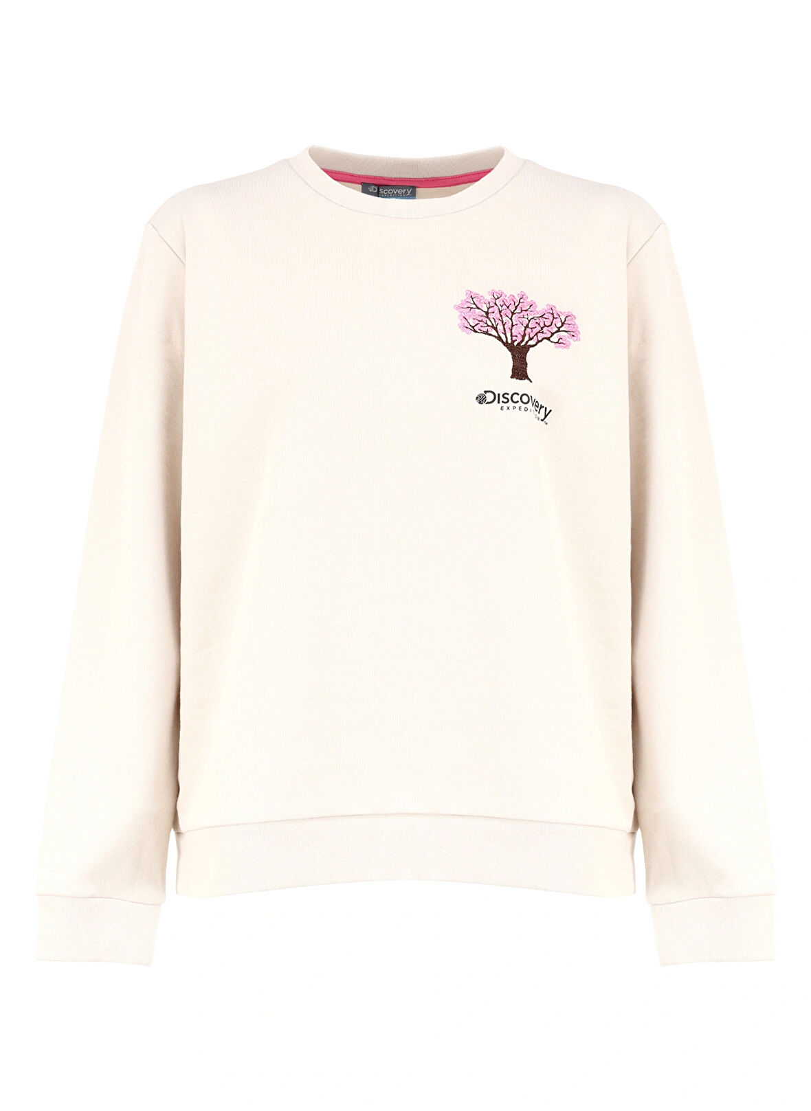 Açık Bej Kadın Bisiklet Yaka Relaxed Fit Nakışlı Sweatshirt D4WL-SWT3033