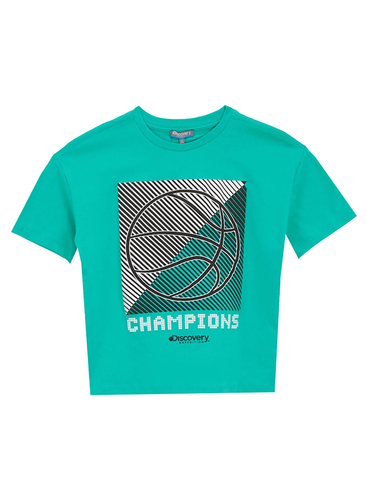 Discovery Expedition Baskılı Mint Erkek Çocuk  T-Shirt D5SB-TST3215
