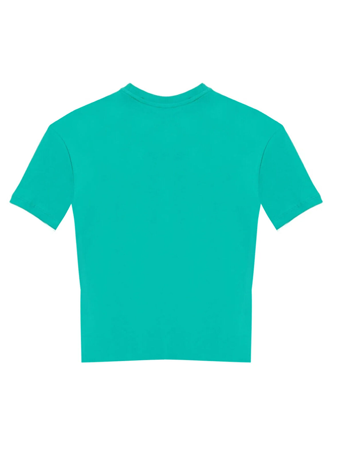Discovery Expedition Baskılı Mint Erkek T-Shirt D5SB-TST3215
