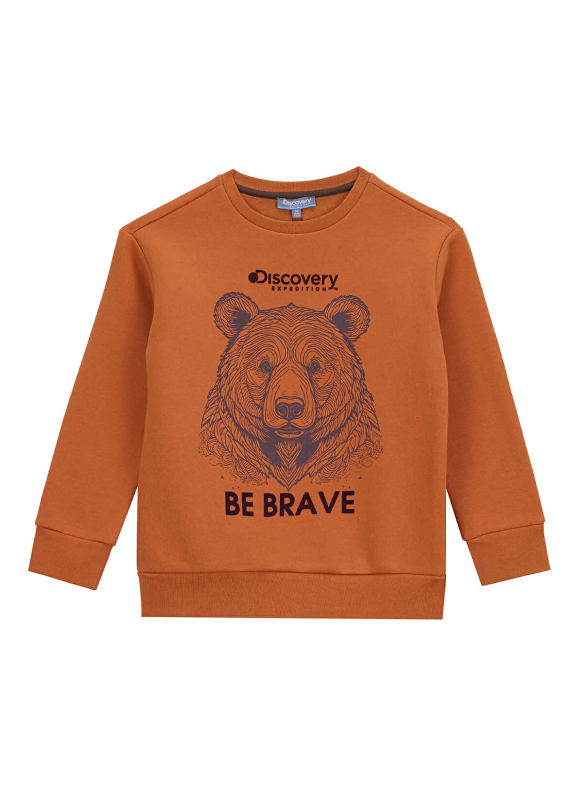 Discovery Expedition Baskılı Erkek Çocuk Kiremit Sweatshırt D5WB-SWT3041