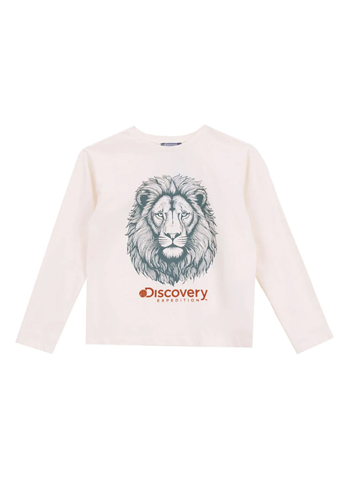 Discovery Expedition Düz Krem Erkek Çocuk T-Shirt D5WM-TST3103