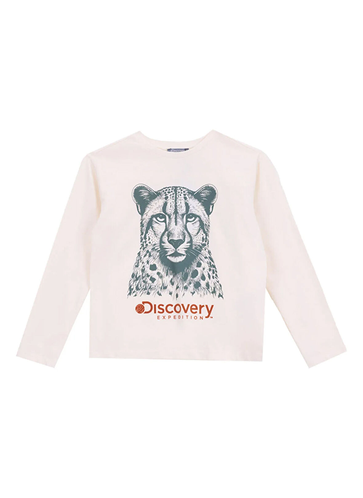 Discovery Expedition Düz Krem Erkek Çocuk T-Shirt D5WB-TST3073