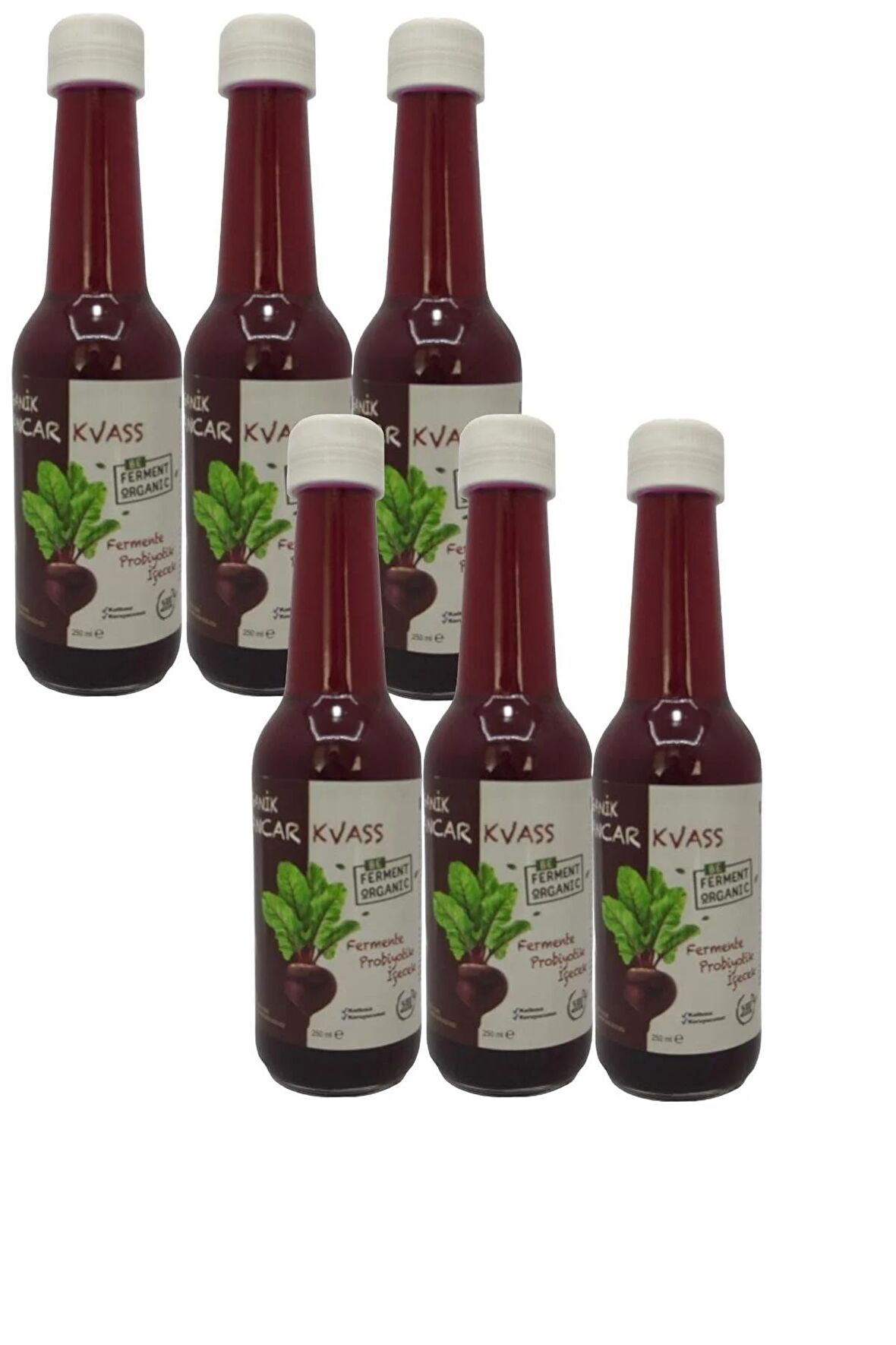 Organik Pancar Kvass Sade 250 ML * 6 Adet