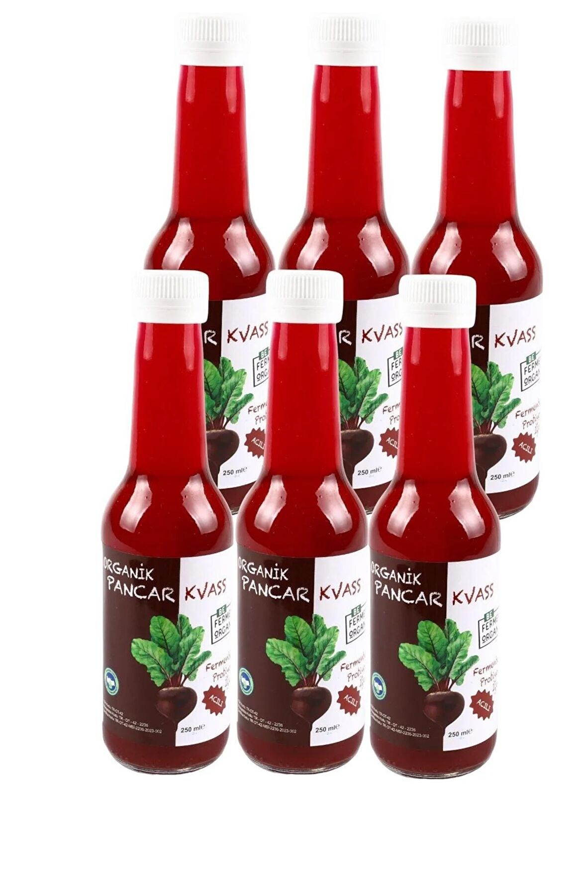 Organik Pancar Kvass Acılı 250 ML * 6 Adet