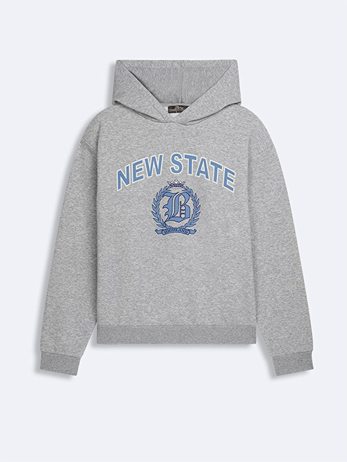 Baskılı Kapüşonlu Fermuarsız Regular Fit Gri Sweatshırt