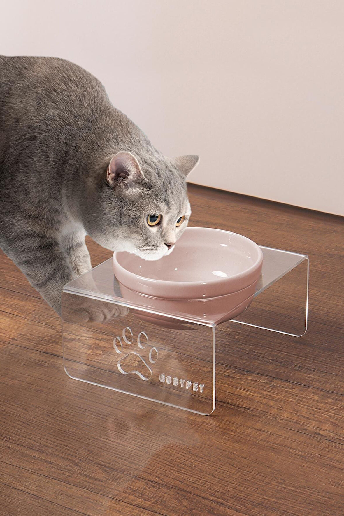 Tekli Seramik Dekoratif Kedi Ve Köpek Pleksi Mama & Su Kabı Kedi Paspası
