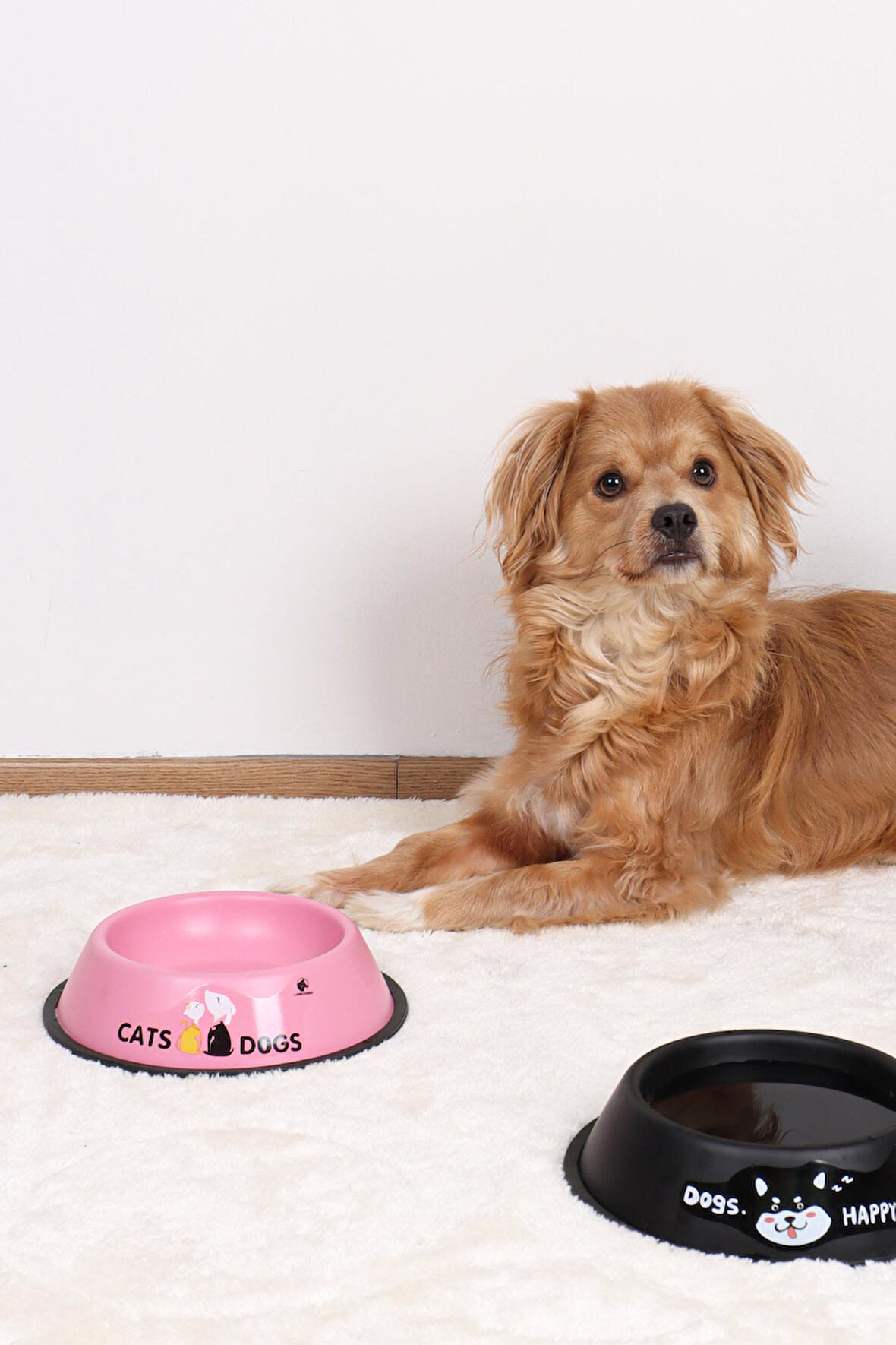 RENKli Metal Mama Kabı, Kedi Köpek Mama Su Kabı 16 cm