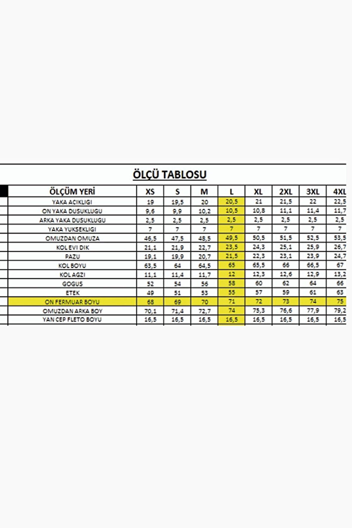 2AS Cedric Erkek Yarım Fermuarlı İnce Polar Sweatshirt