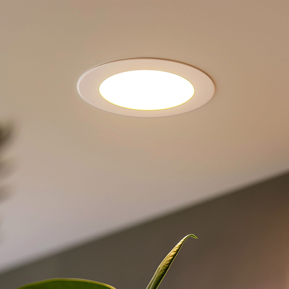 Maxled MX-1006B - 12W 6500K Soğuk Beyaz | Beyaz Kasa Sıva Altı Yuvarlak LED Panel
