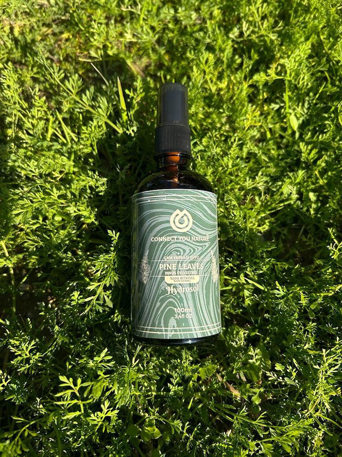 Çam Yaprağı Hidrosolü (100ml)